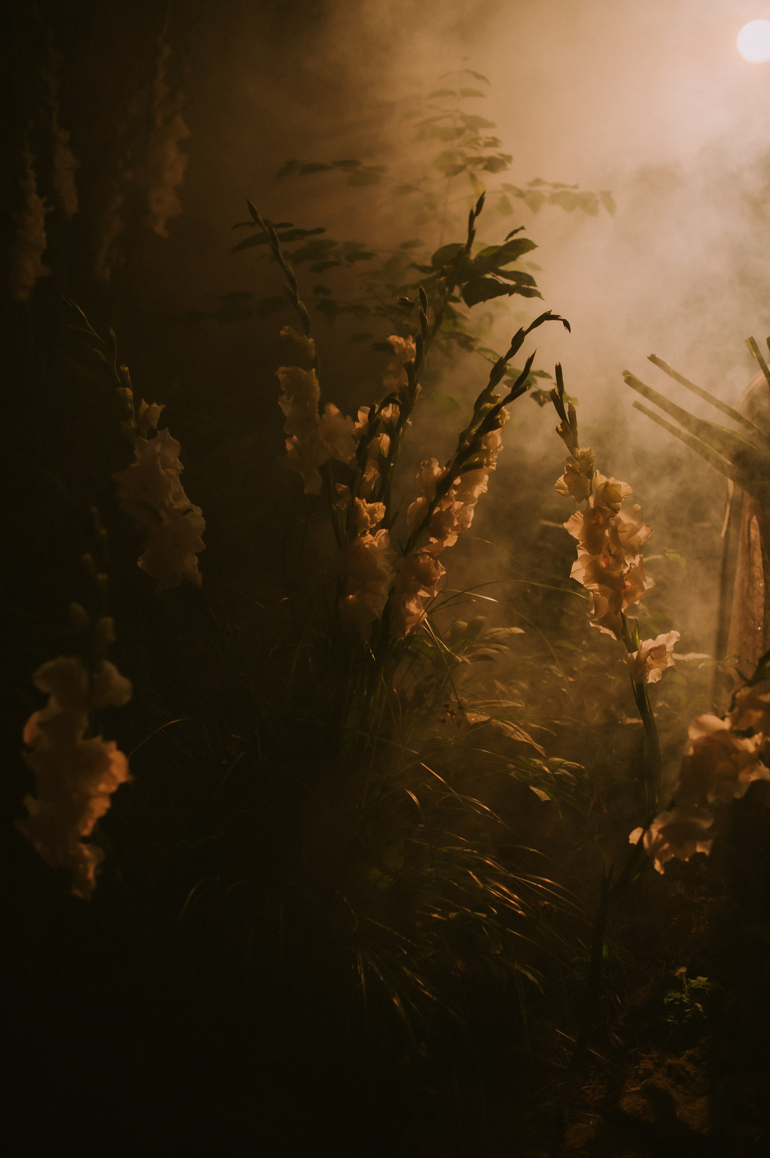 Антон и Надежда. Свадебный, женский, семейный фотограф в Севастополе Юлия Мошенко