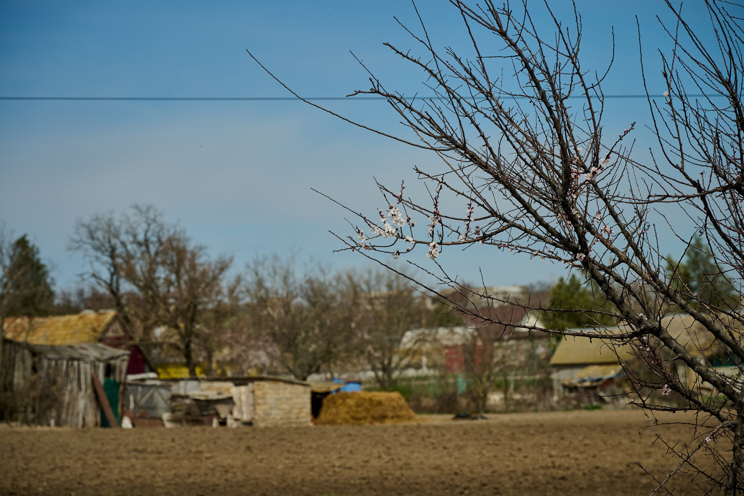 Мелитополь. Фотопроект «Территории»