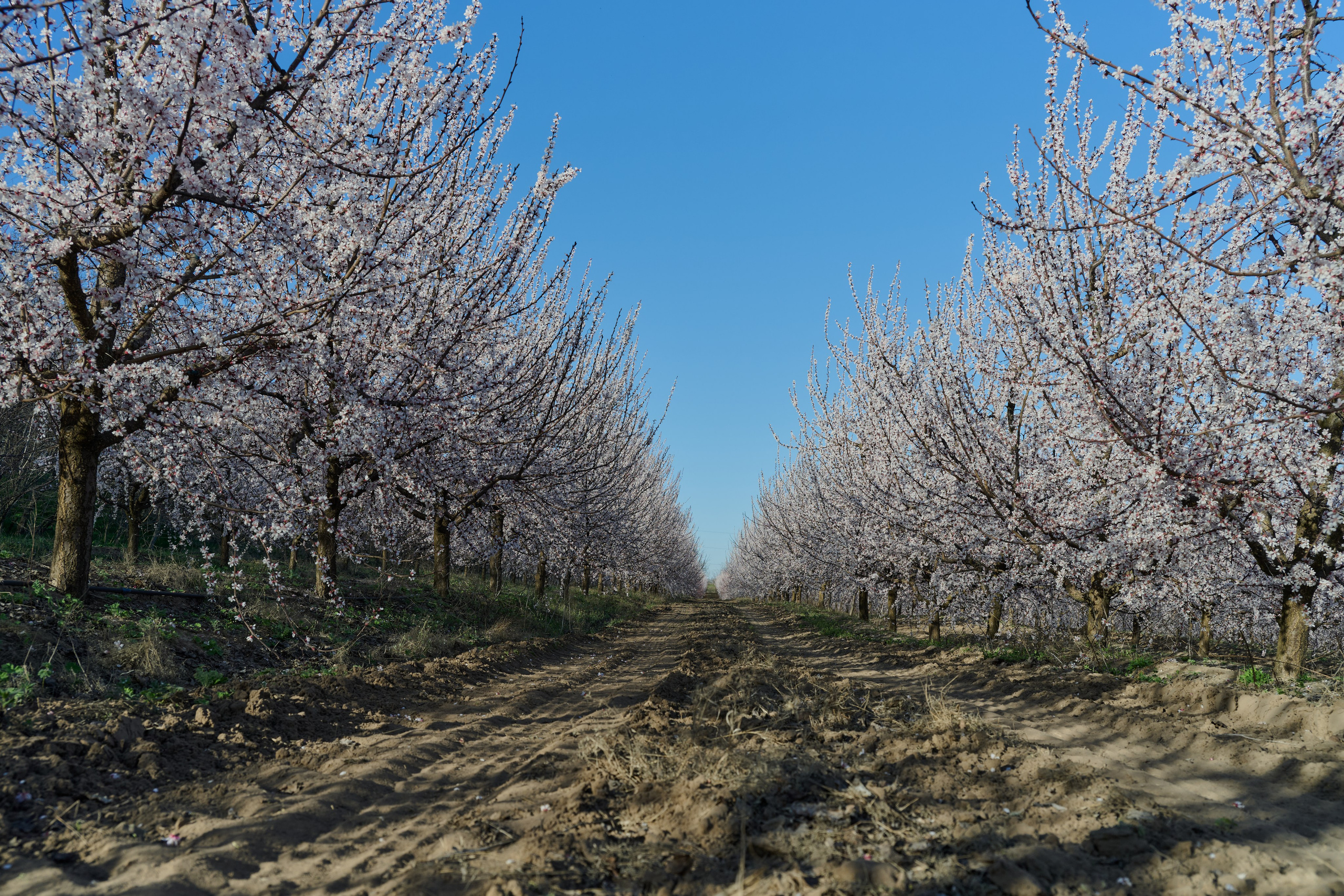 Мелитополь. Фотопроект «Территории»