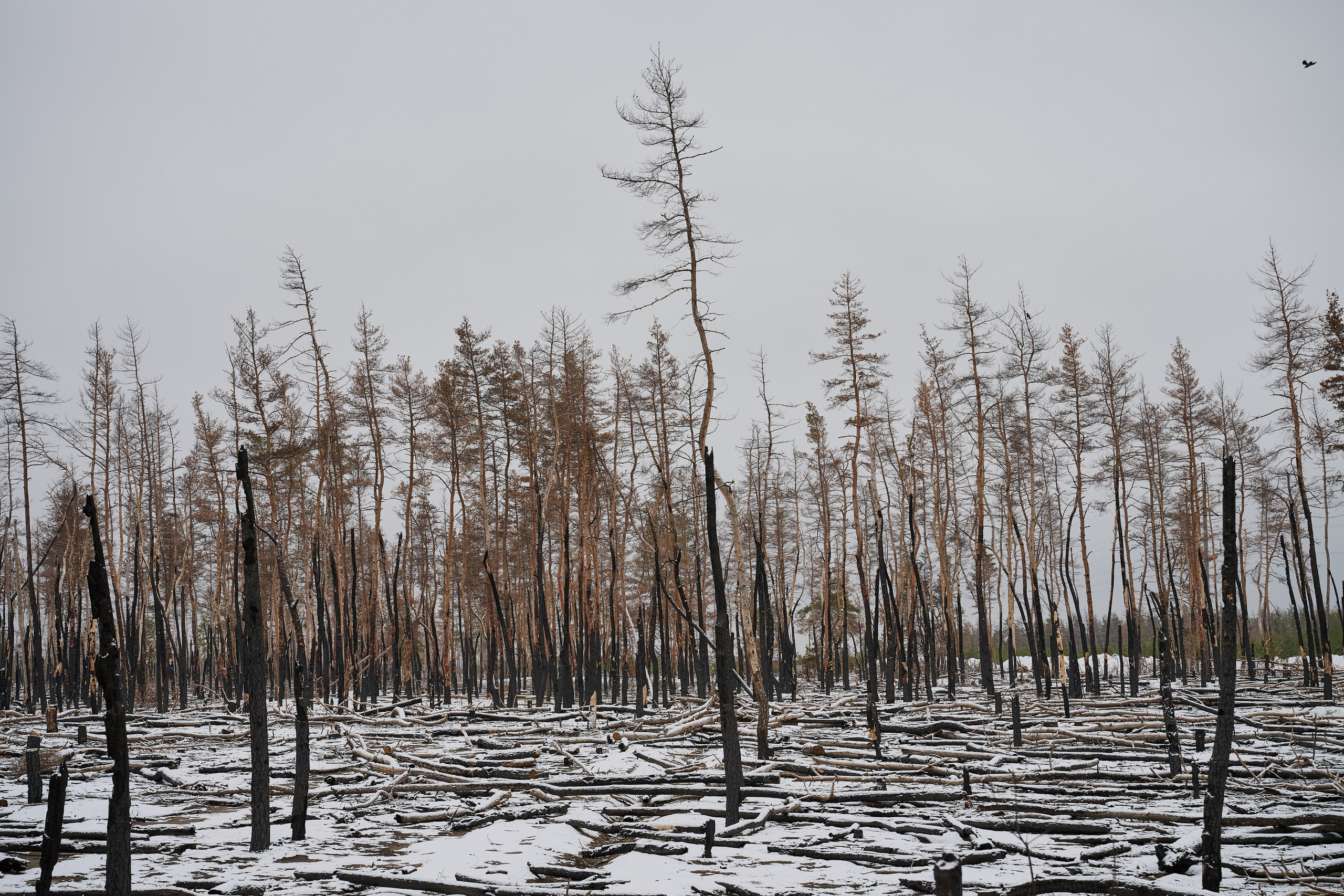 Фото для презентации фотопроекта «Территории». Фотопроект «Территории»