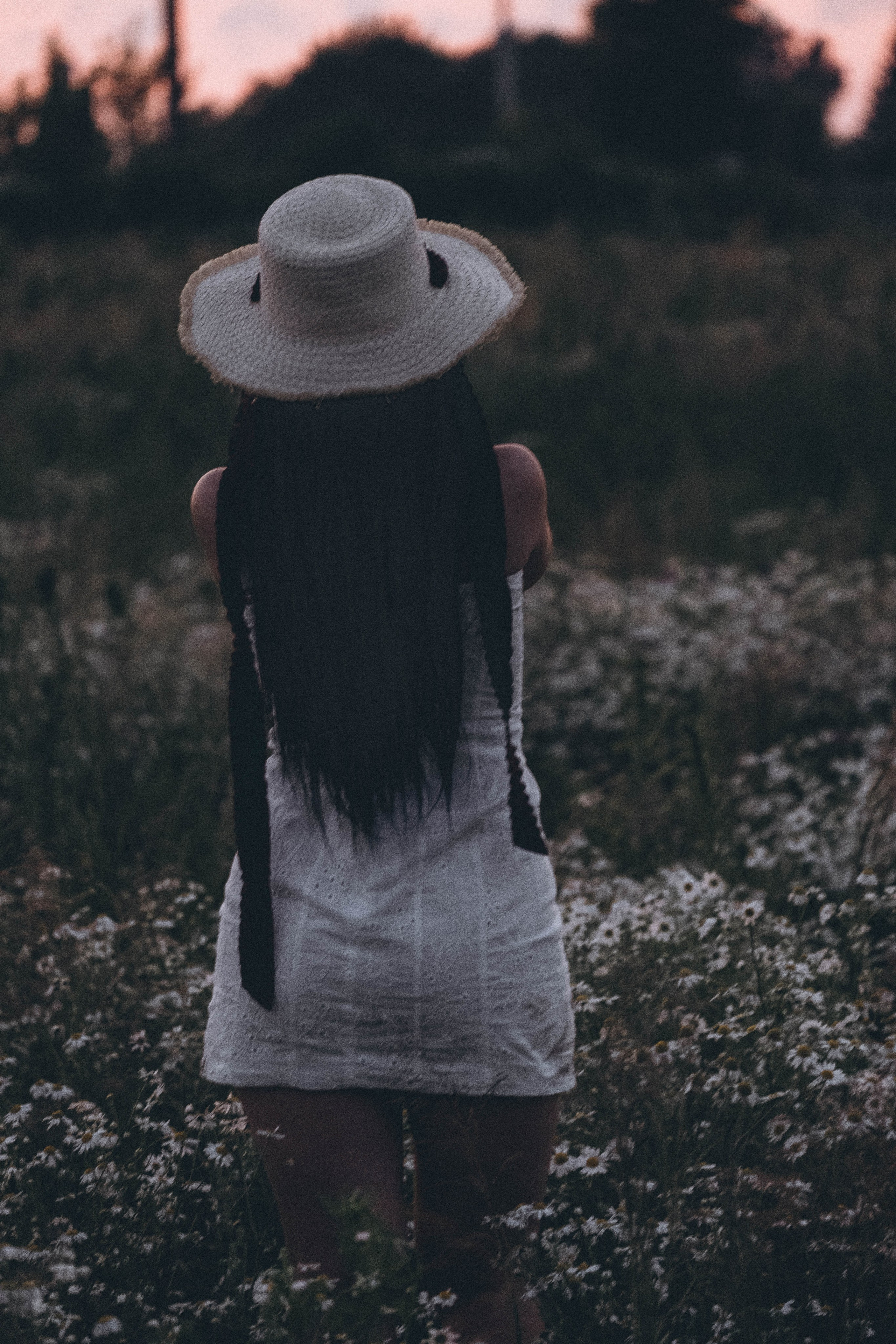 Ромашковое поле. Профессиональный фотограф, Санкт-Петербург — Виктория Богомолова