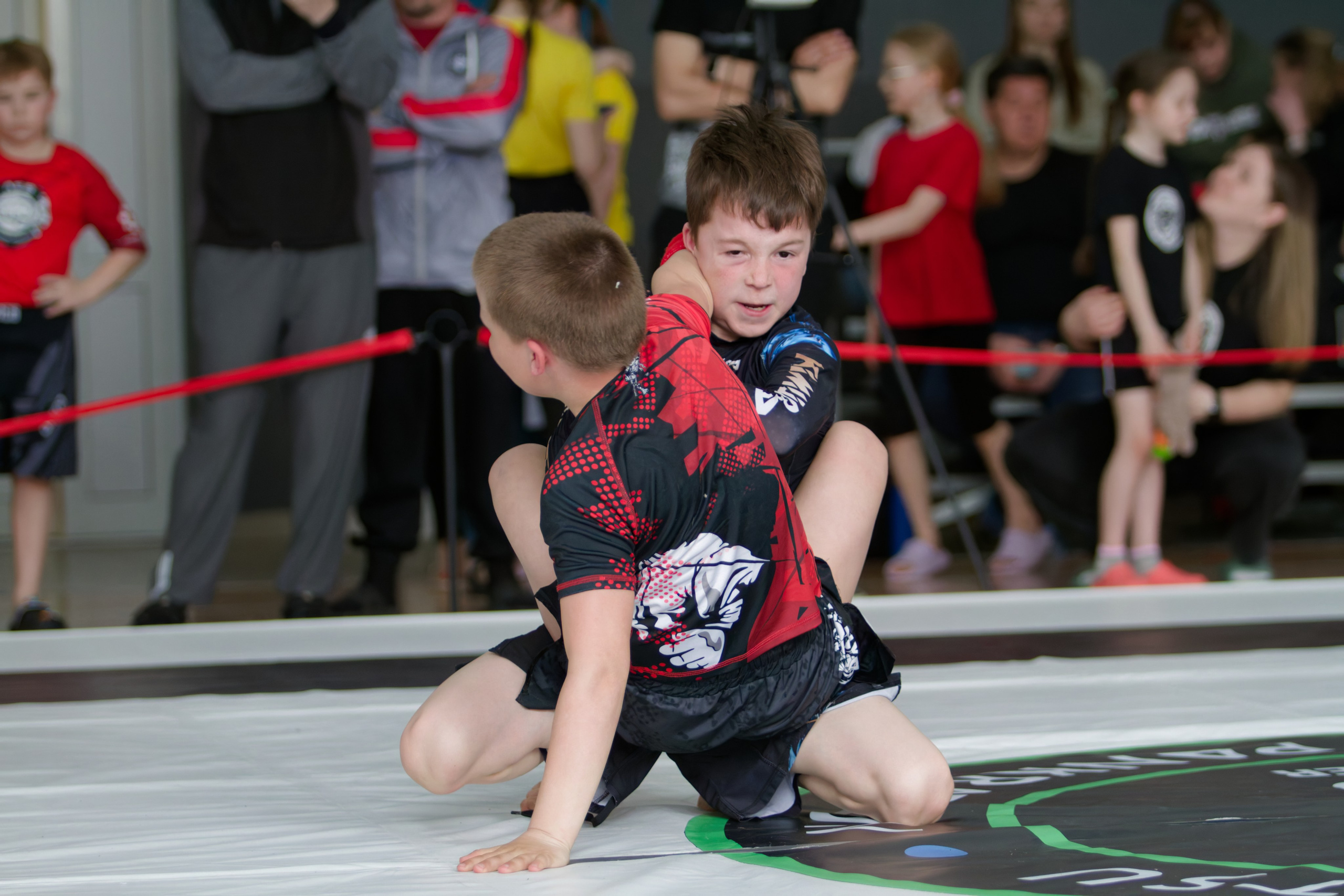 Борьба. Джиу-джитсу 26.04.2025. Репортажный и спортивный фотограф в г. Пермь Зильберг Павел