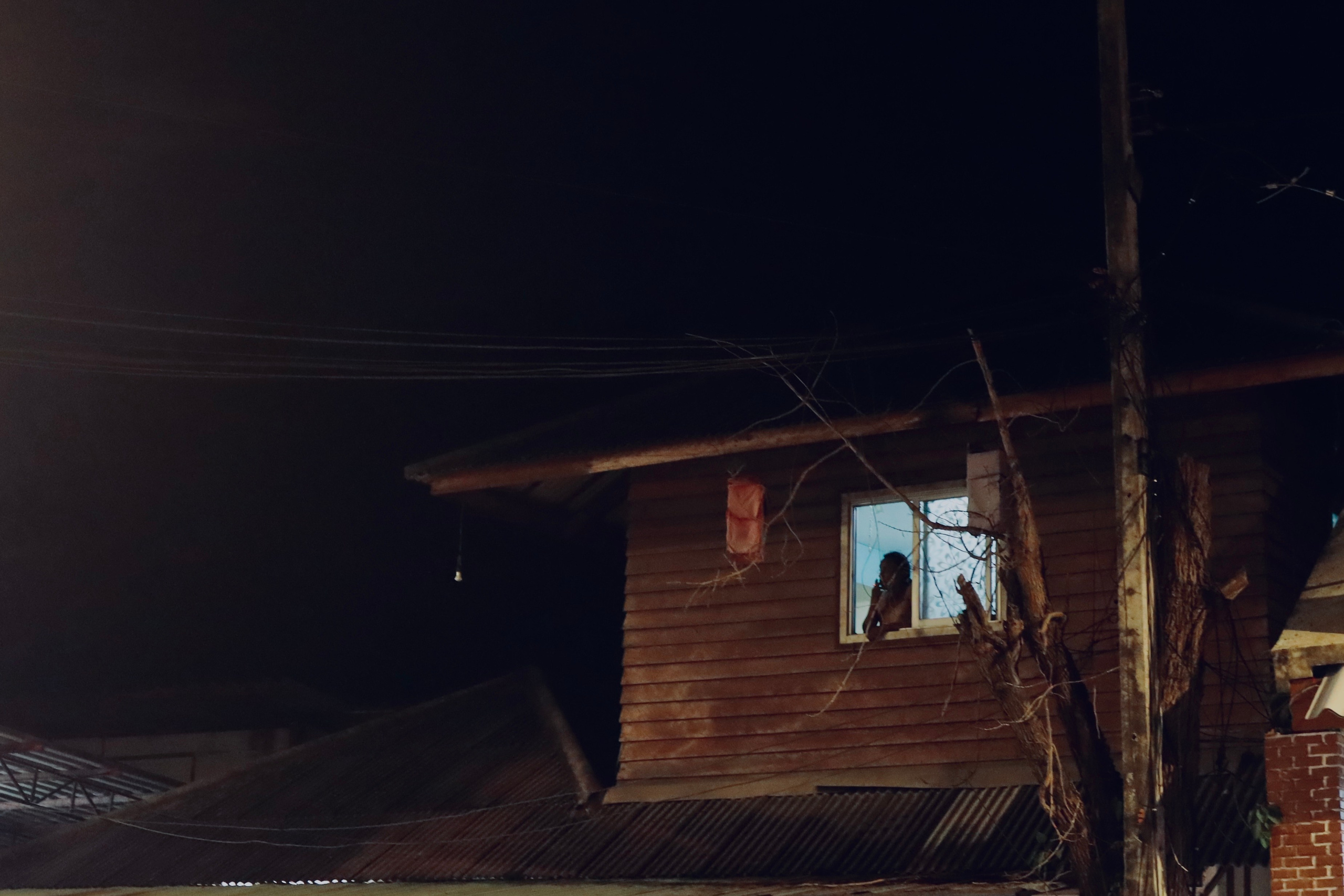 Night inhabitants of Samui Island / Thailand 2024. POLINA MÔMOT