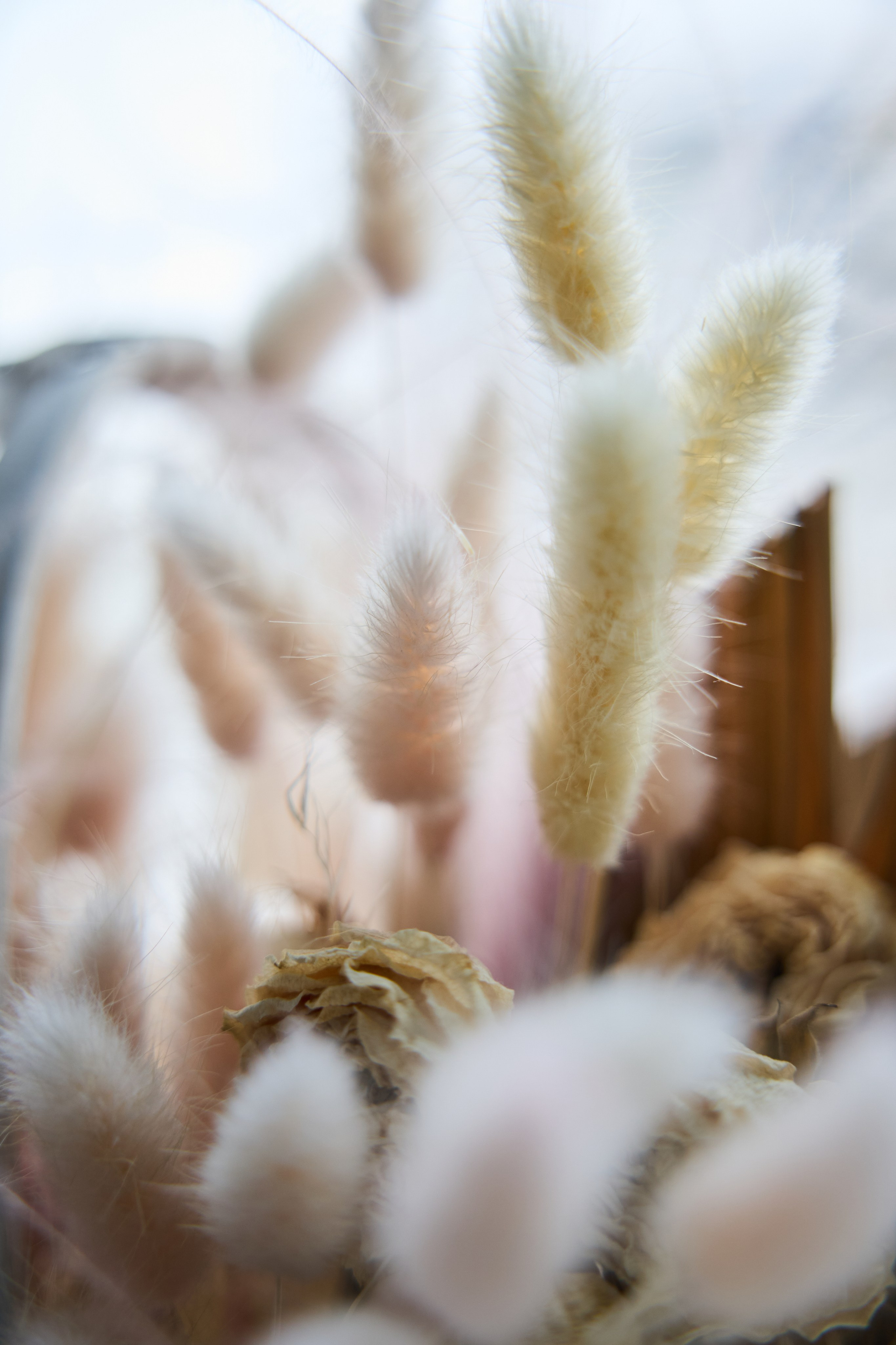 Студия танца Let's Dance. Виктория Ахмылова. Фотограф в Москве