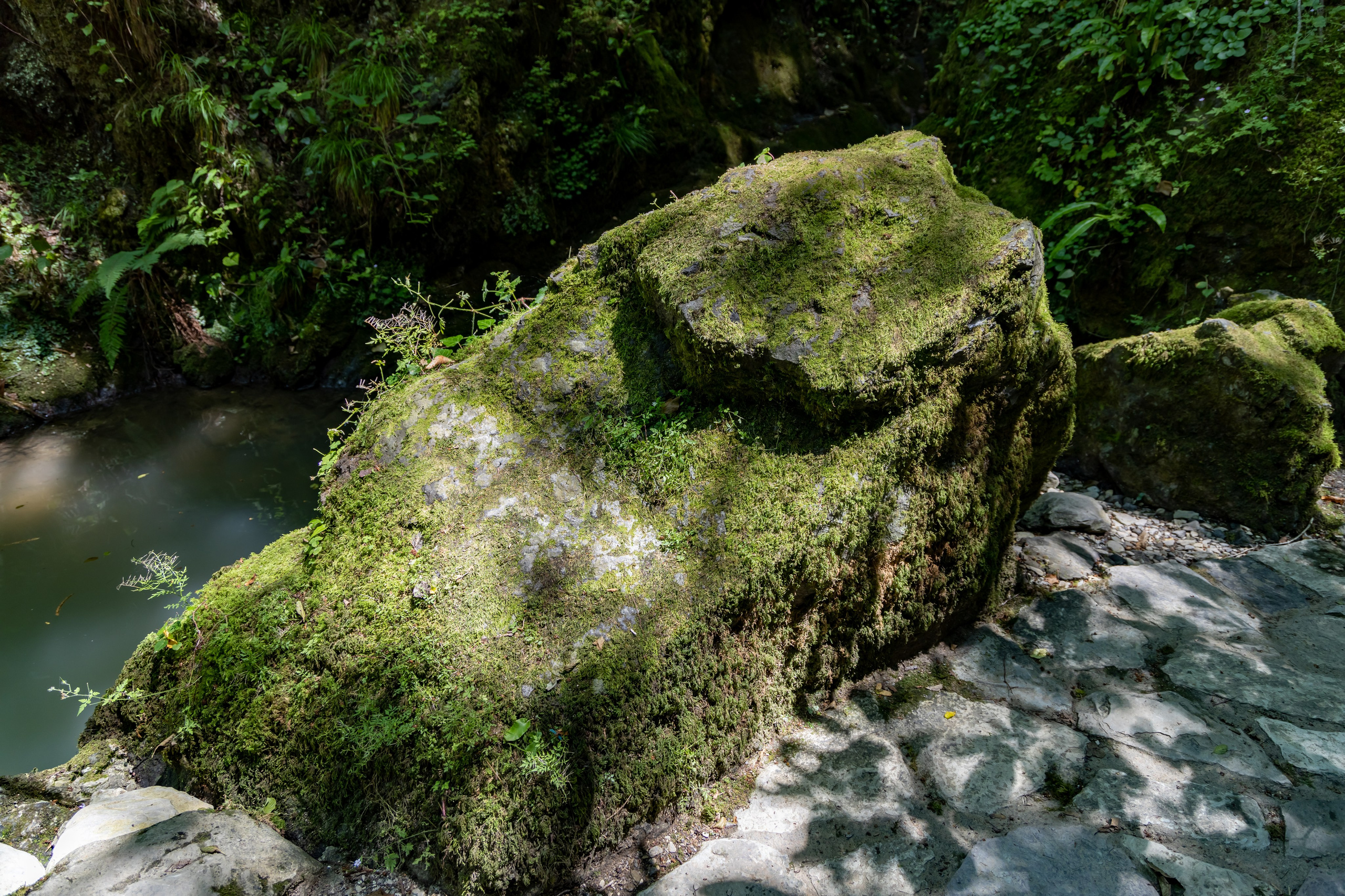 Сочи. Солох Аул. Репортажный, семейный и студийный фотограф в Москве Демин Алексей