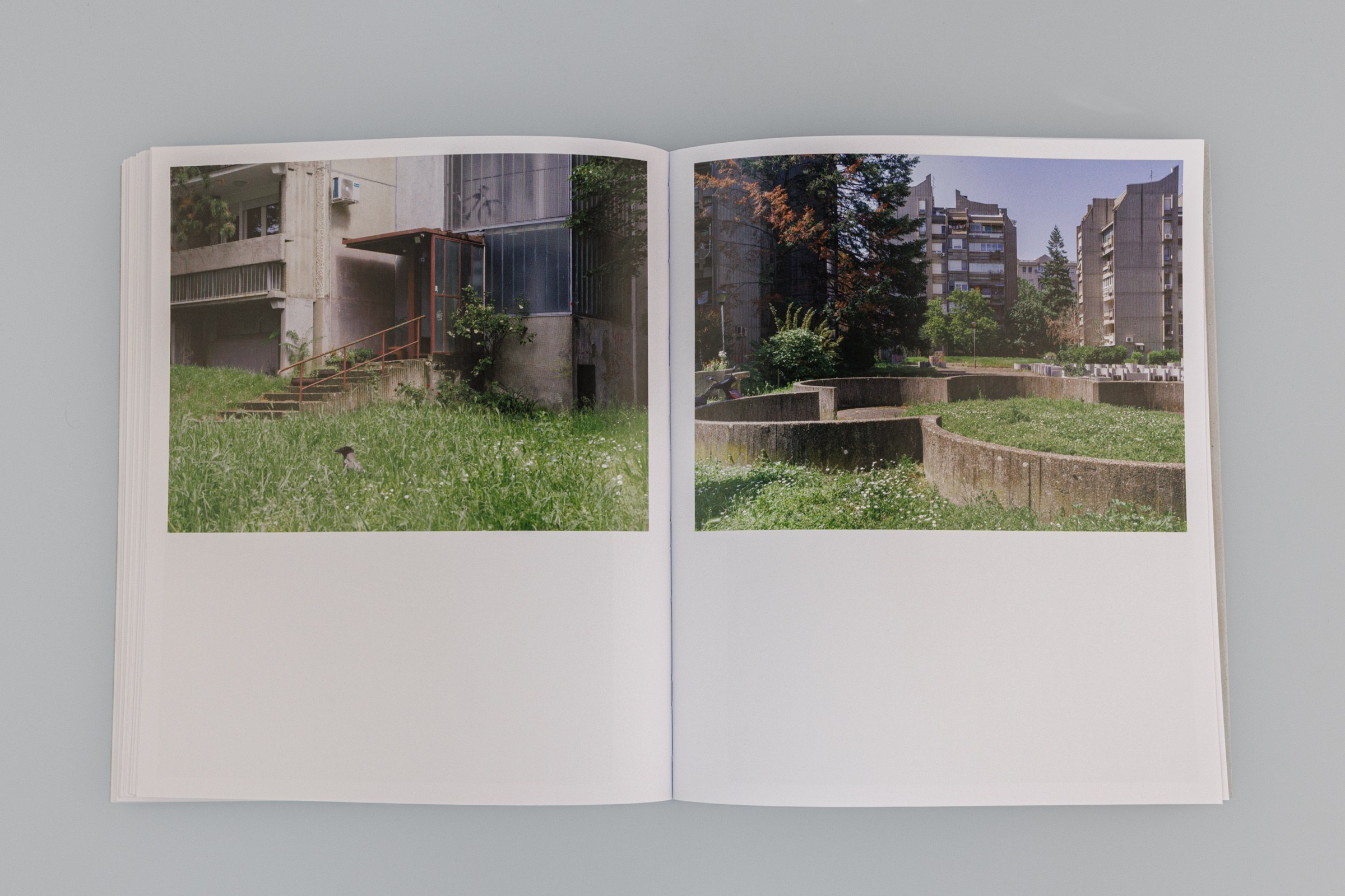 The Colour Beneath the Grey. Photographer, Documentary and Art