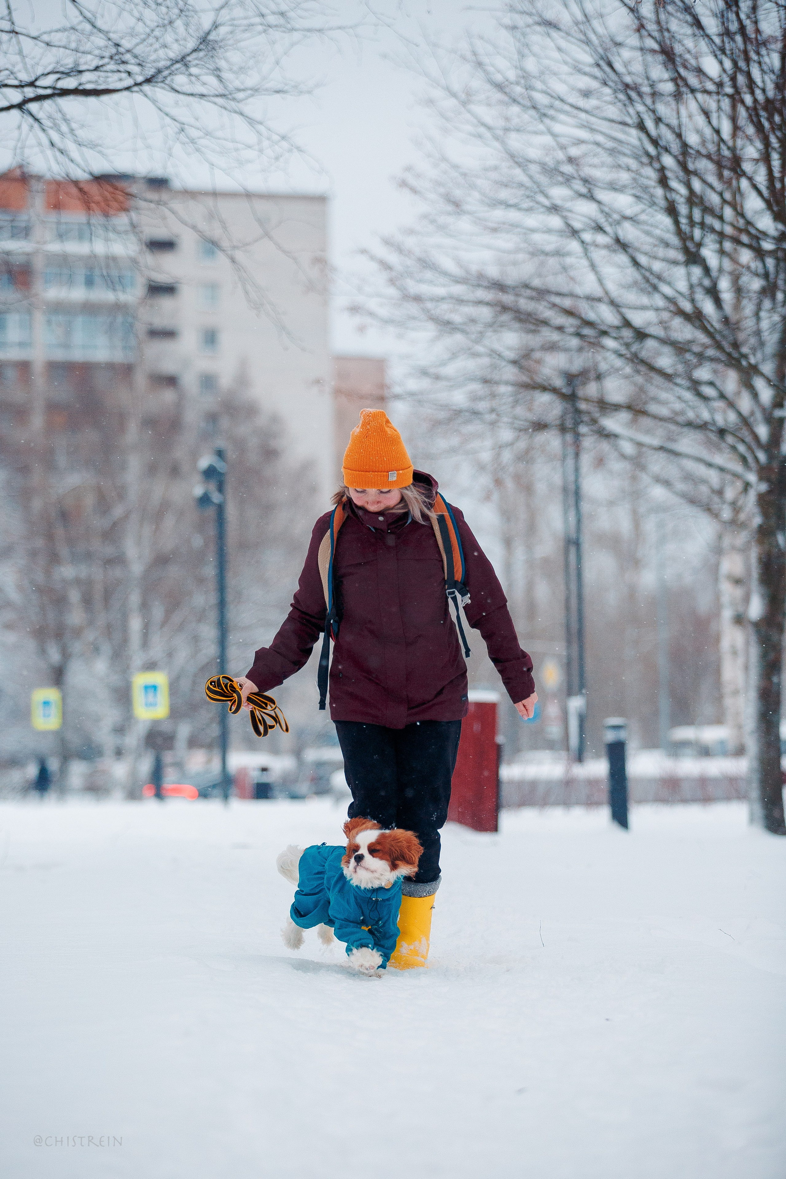 Внезапно апрельская зима. Фотограф-анималист Наталия Чистюхина в г. Сосновый Бор и ЛО