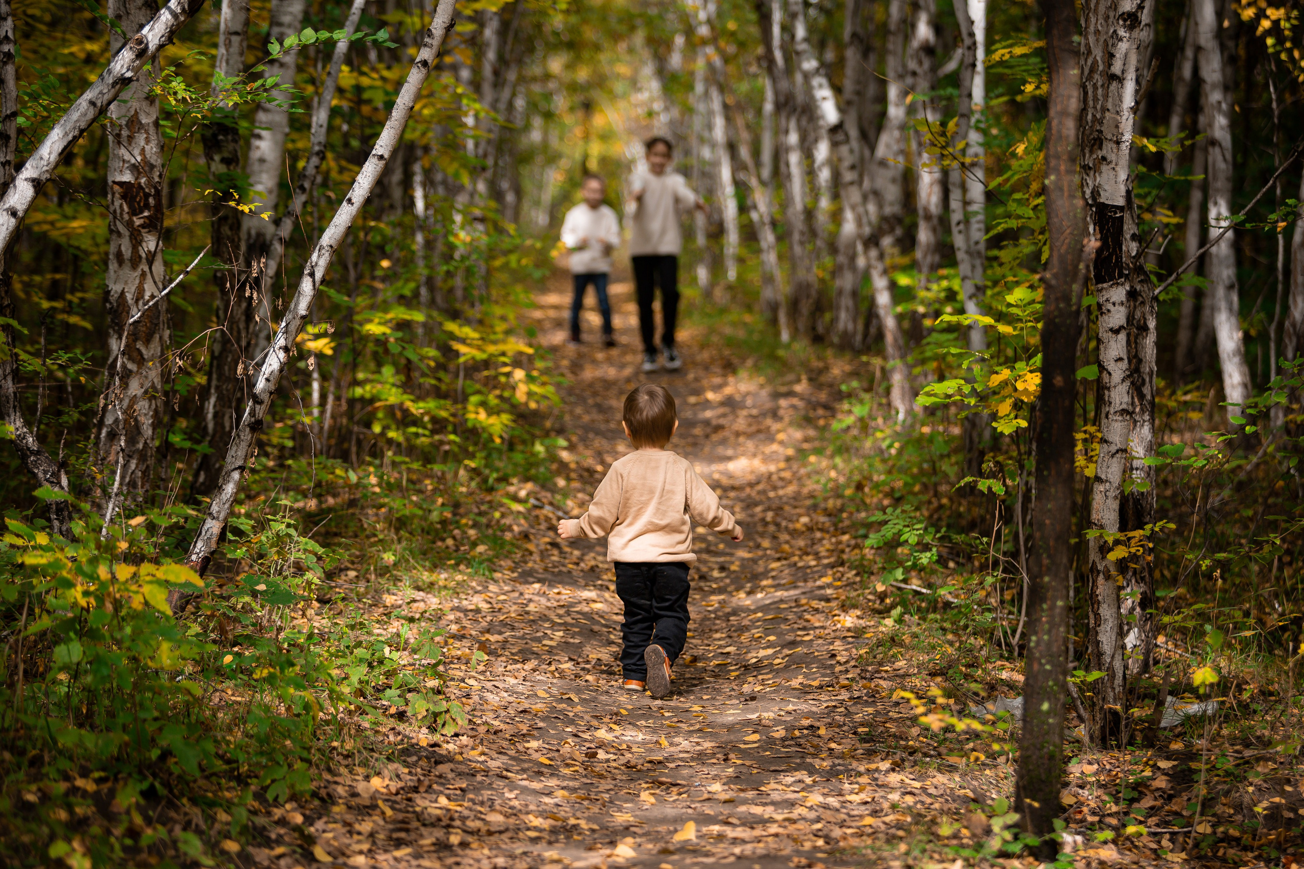 Роща Баума. Осенняя фотопрогулка. Отбасылық фотограф Алена Шаталова