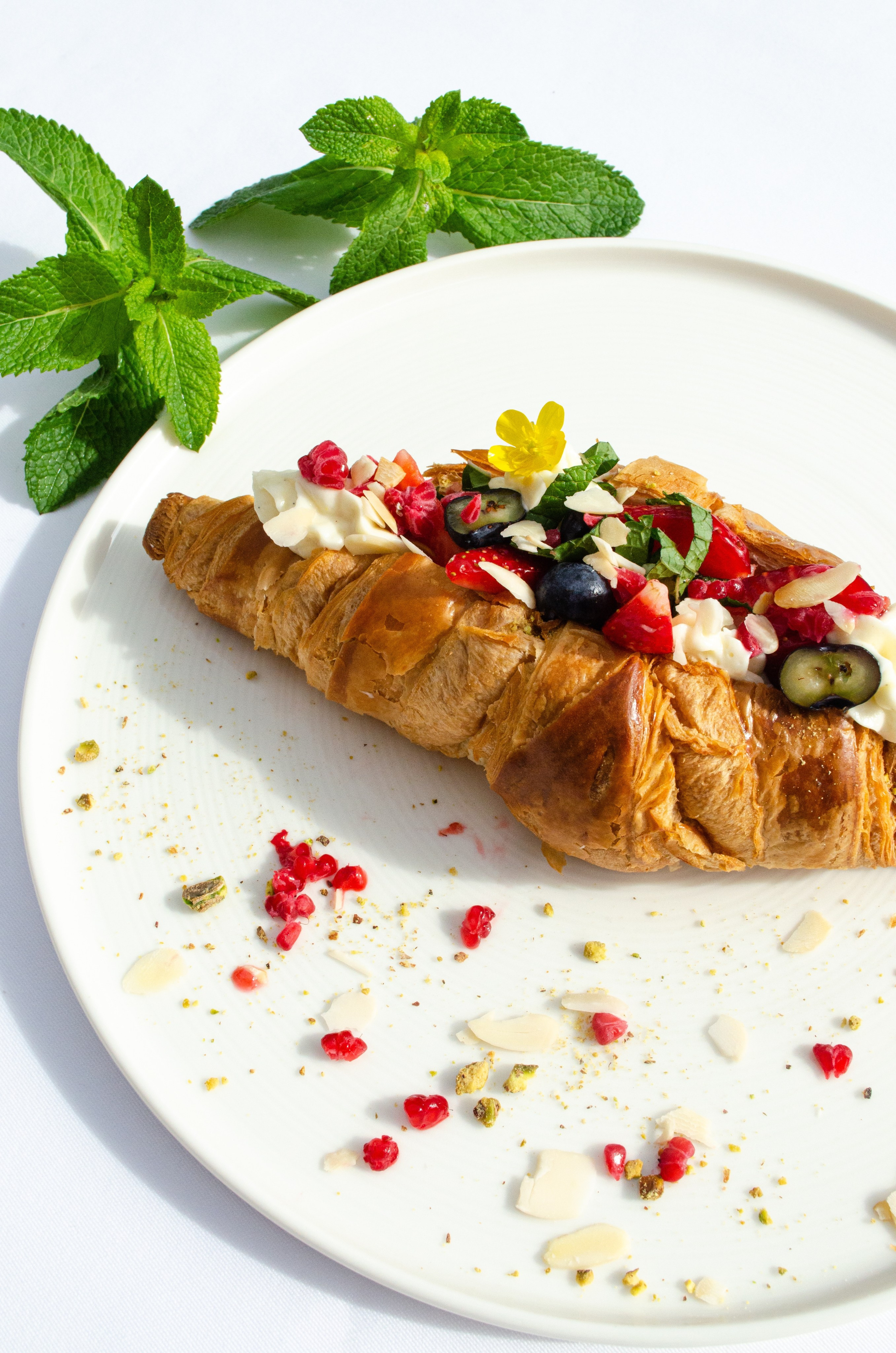 Роза Хутор Modys ресторан. Фотограф