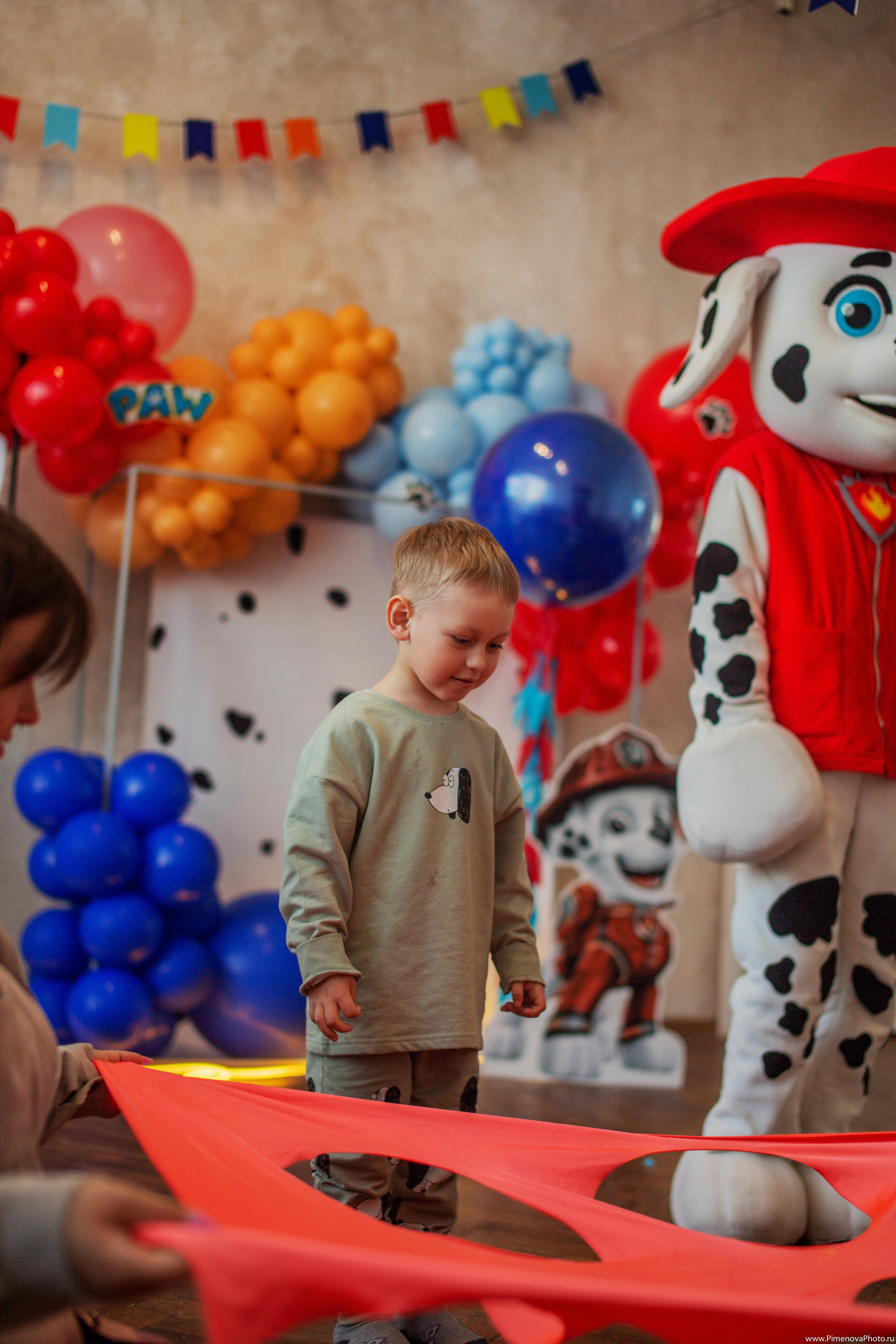 День Рождения Артёма, 4 года. Семейный и детский фотограф в Петрозаводске