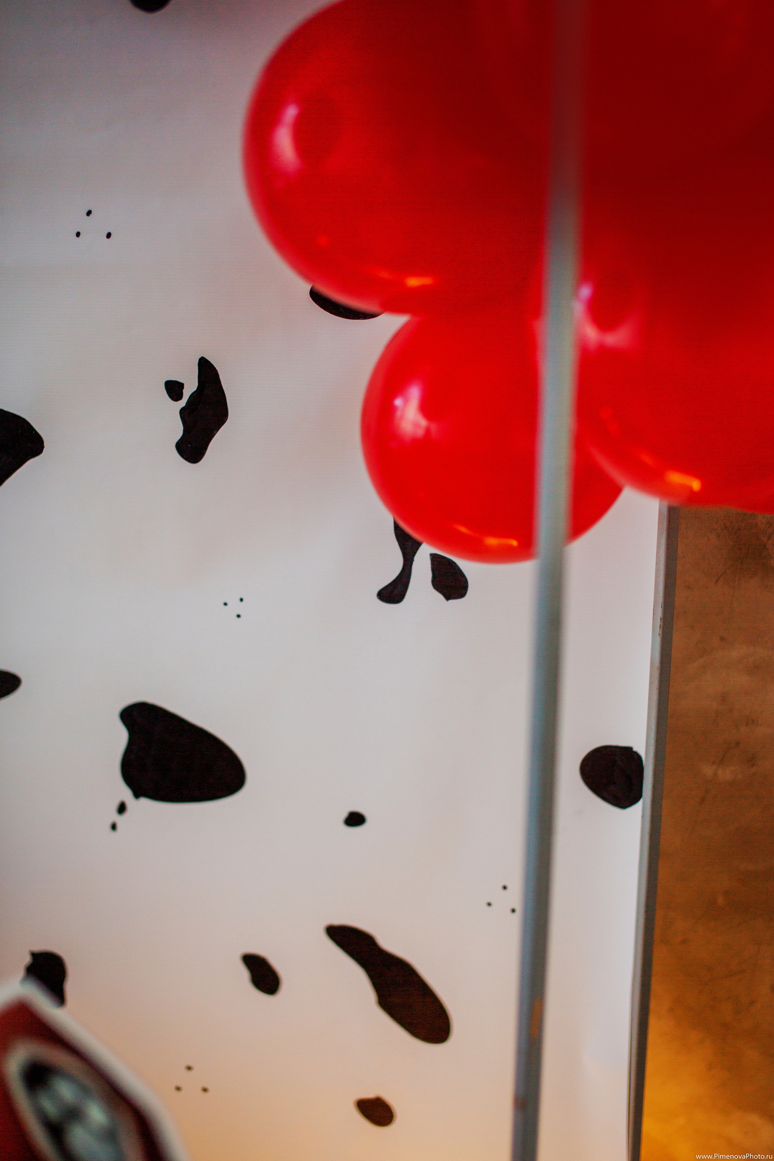 День Рождения Артёма, 4 года. Семейный и детский фотограф в Петрозаводске