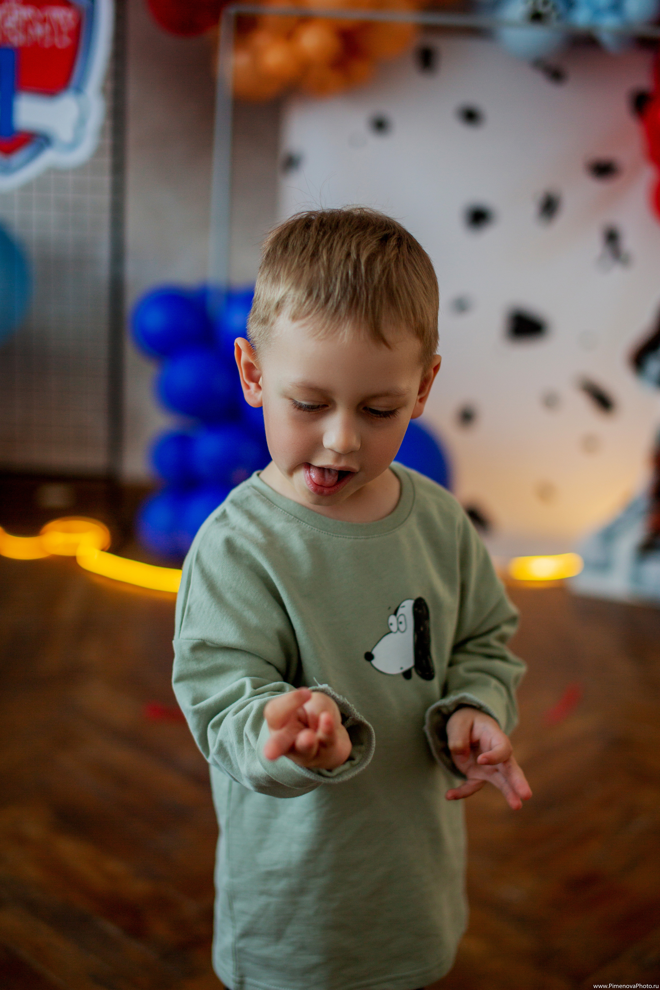 День Рождения Артёма, 4 года. Семейный и детский фотограф в Петрозаводске