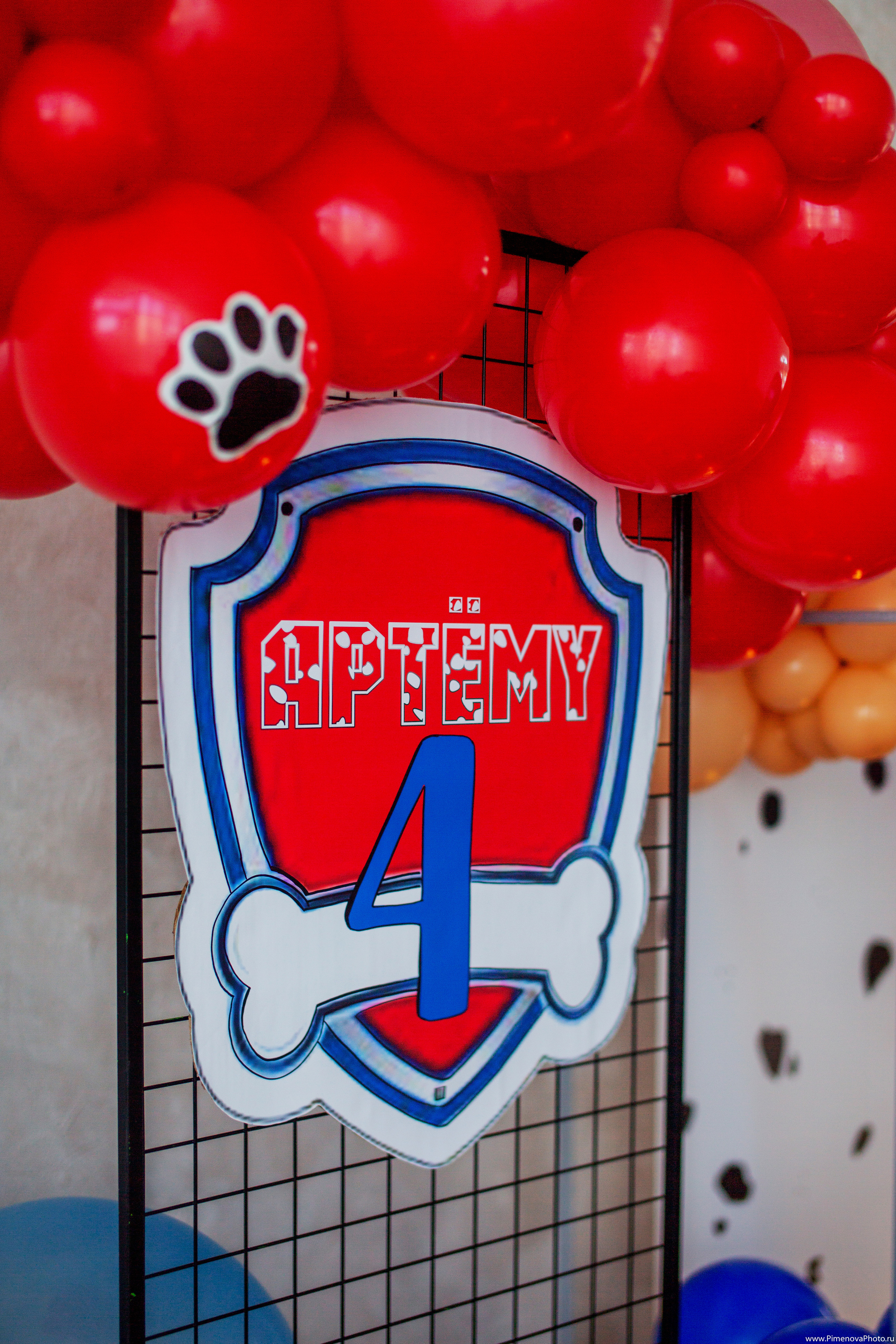 День Рождения Артёма, 4 года. Семейный и детский фотограф в Петрозаводске