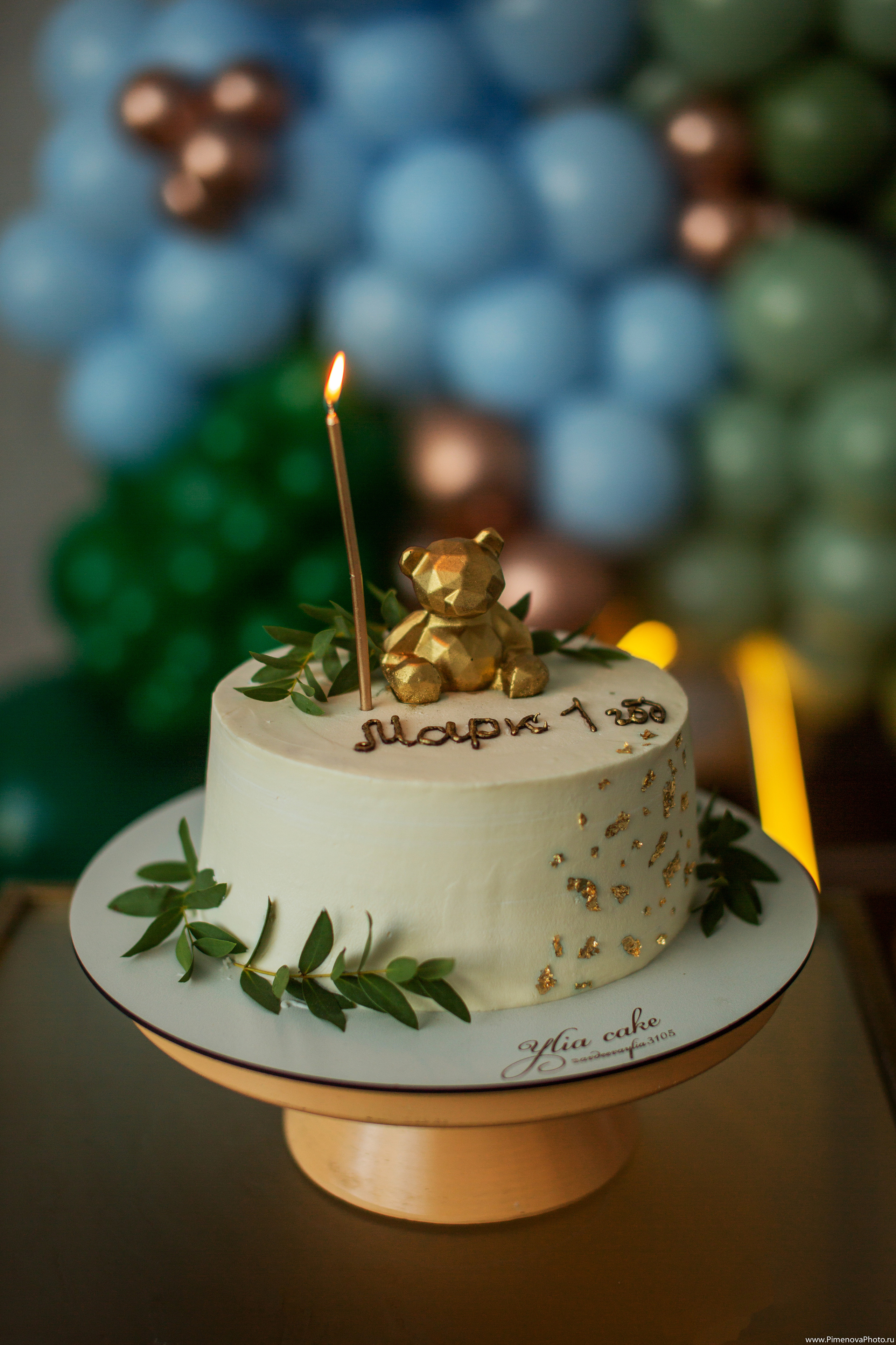 День рождения Маркуша. Семейный и детский фотограф в Петрозаводске