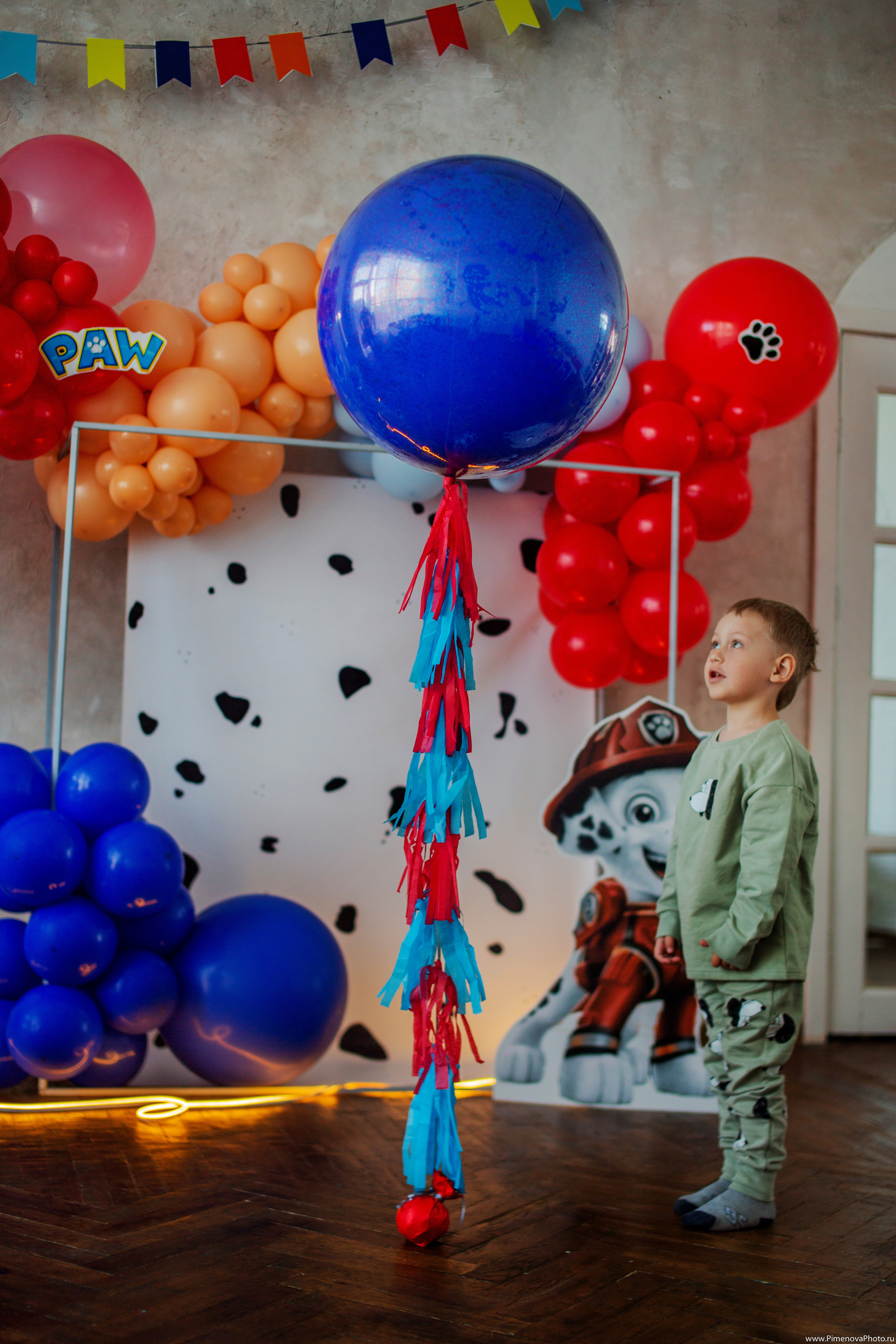 День Рождения Артёма, 4 года. Семейный и детский фотограф в Петрозаводске