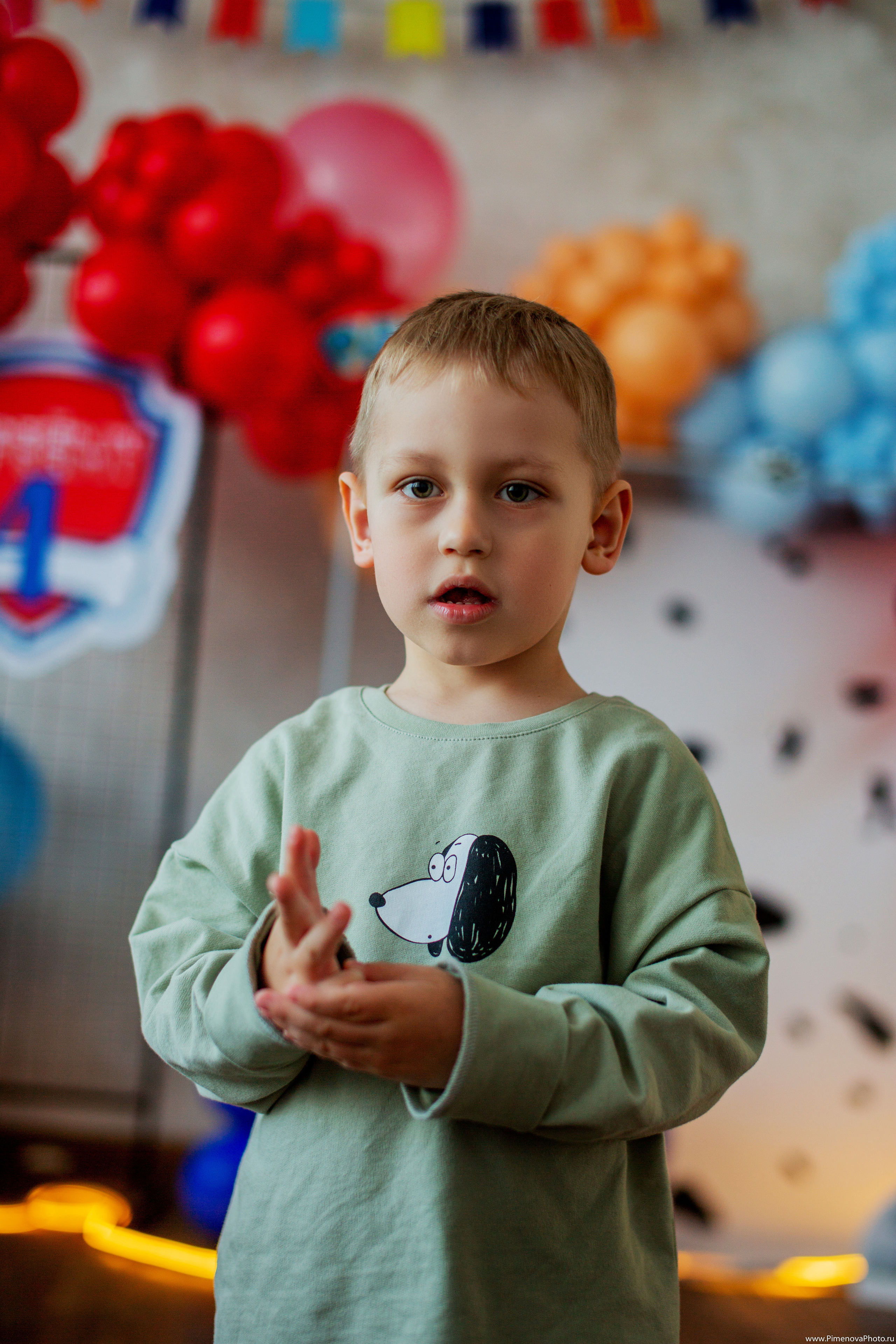 День Рождения Артёма, 4 года. Семейный и детский фотограф в Петрозаводске