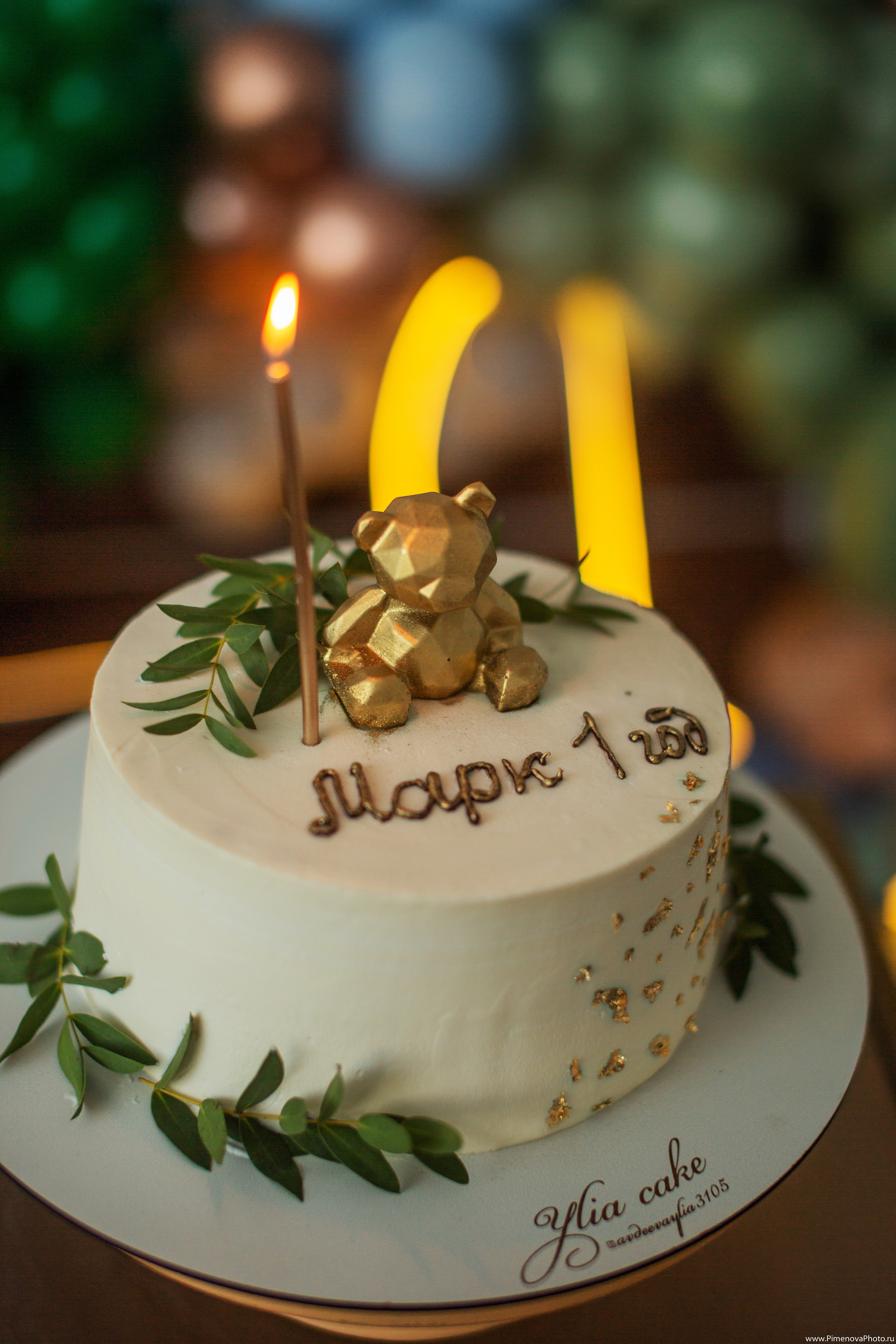 День рождения Маркуша. Семейный и детский фотограф в Петрозаводске