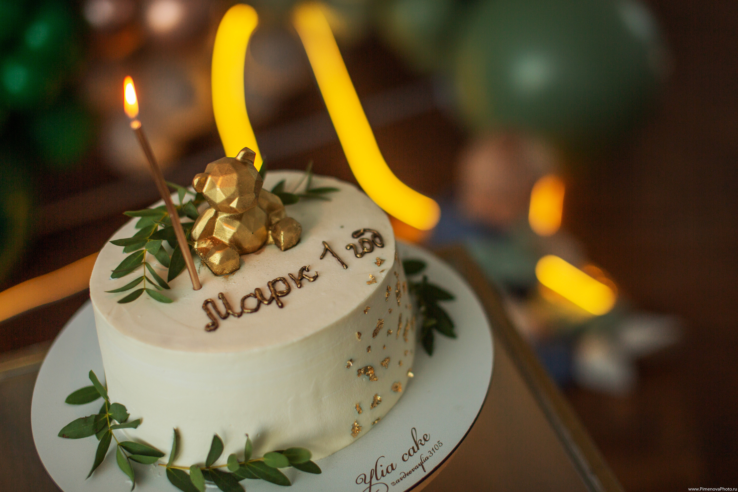 День рождения Маркуша. Семейный и детский фотограф в Петрозаводске
