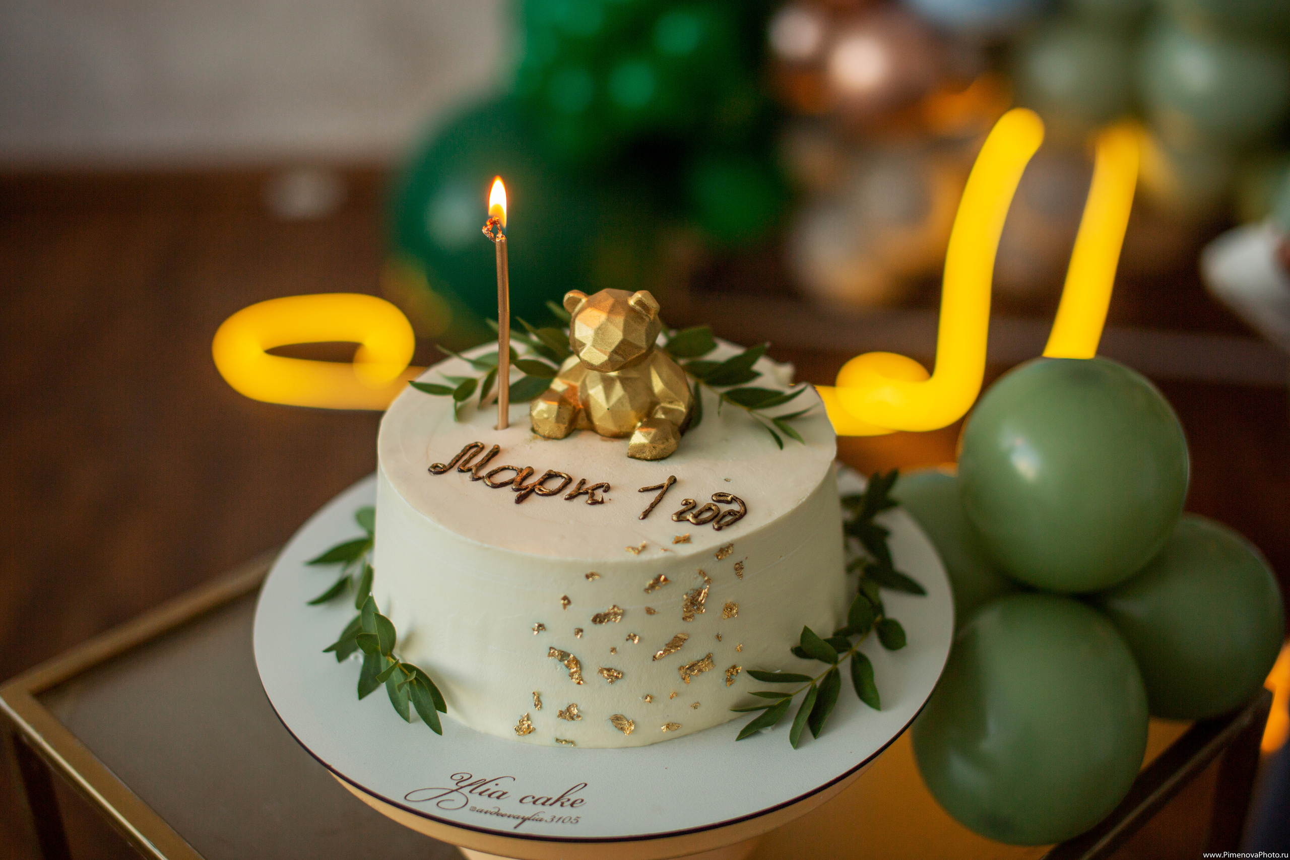 День рождения Маркуша. Семейный и детский фотограф в Петрозаводске