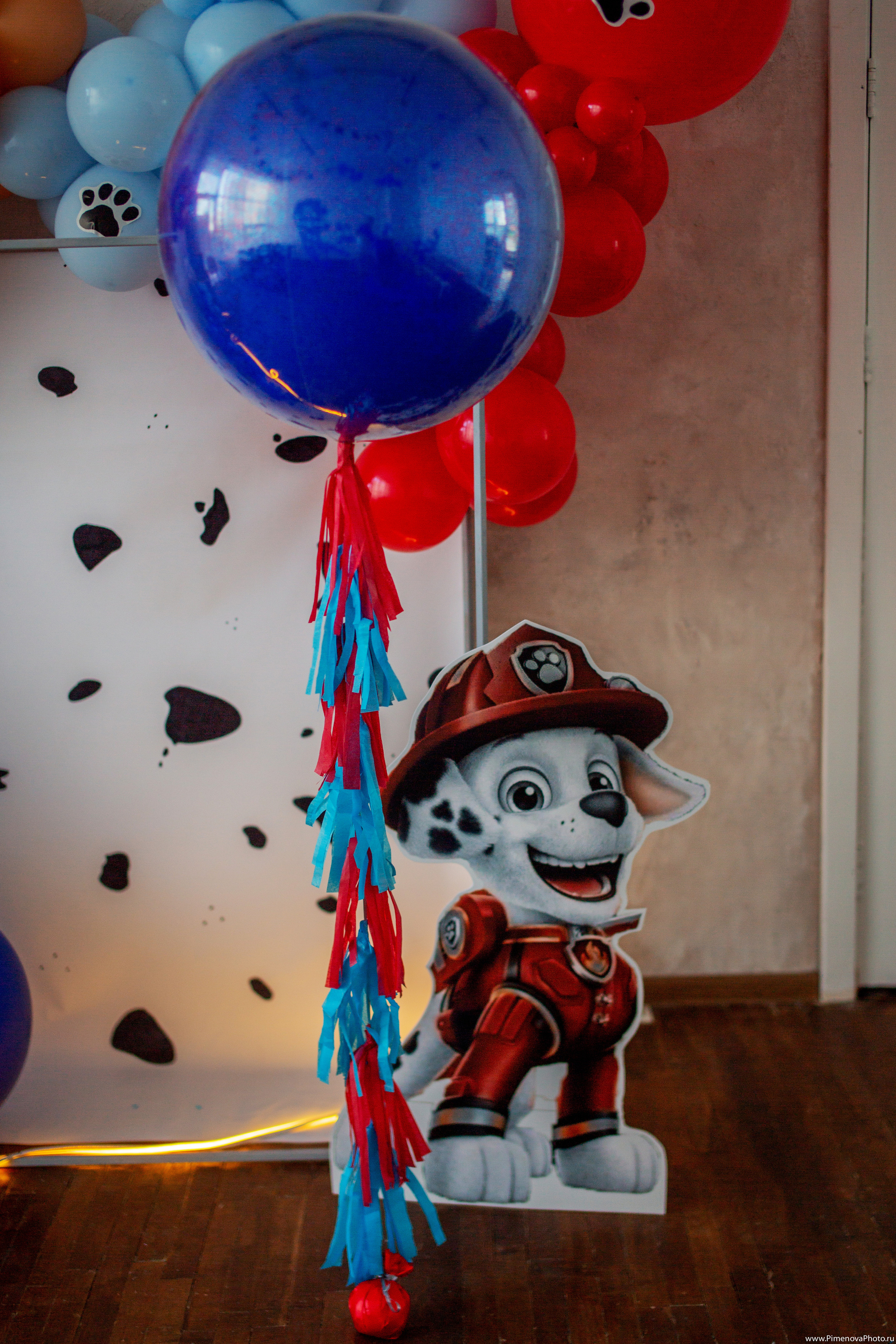 День Рождения Артёма, 4 года. Семейный и детский фотограф в Петрозаводске