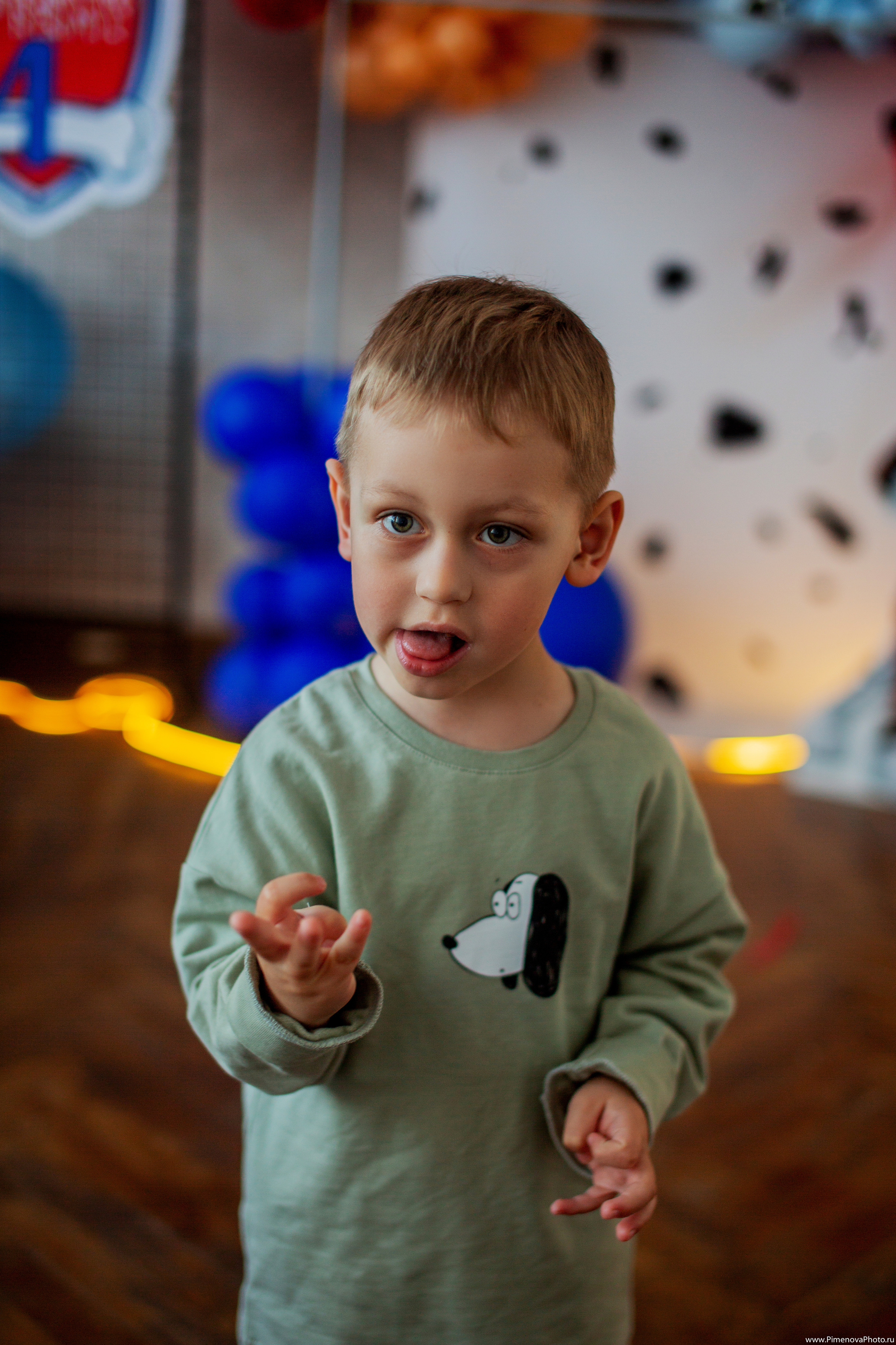 День Рождения Артёма, 4 года. Семейный и детский фотограф в Петрозаводске