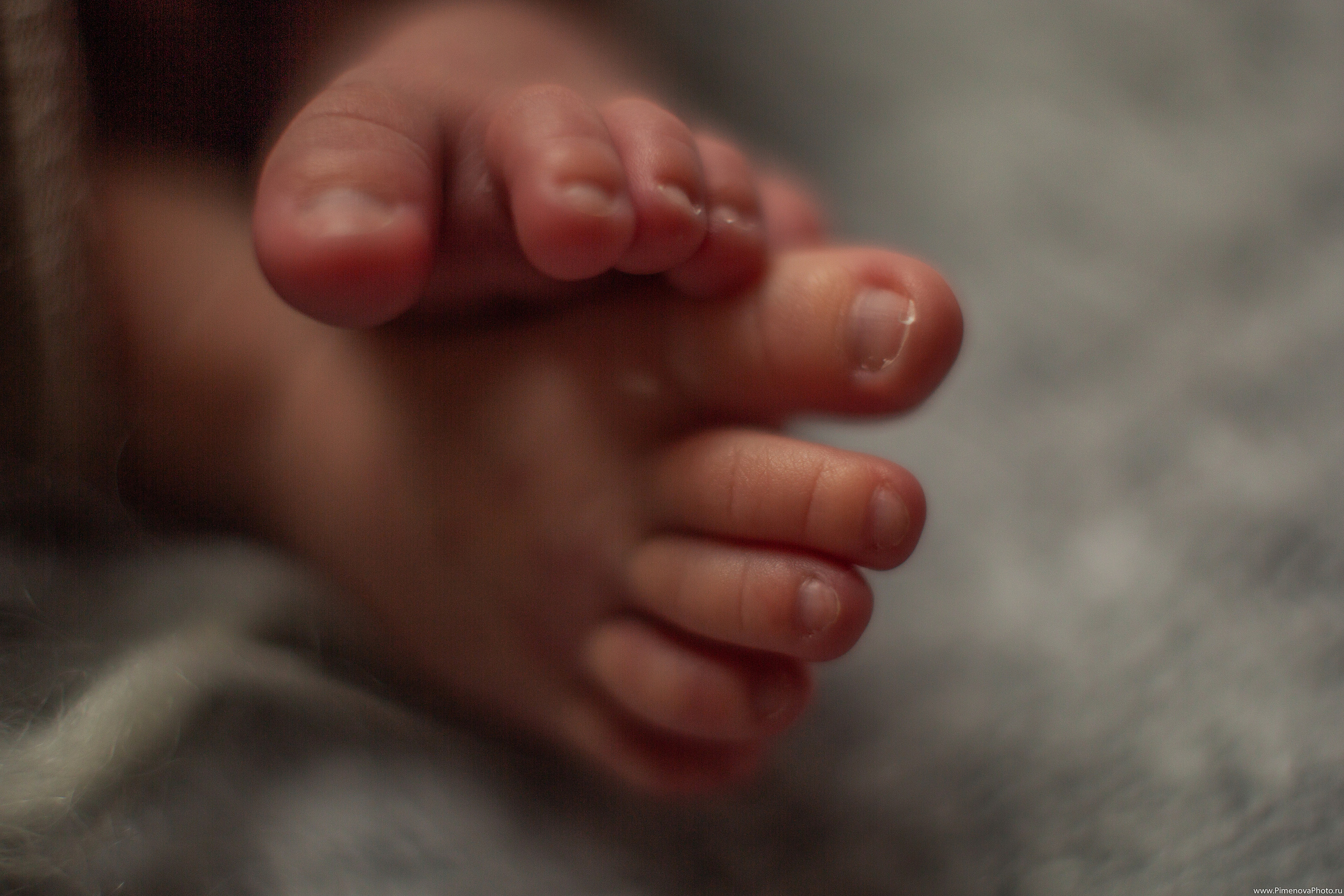 Новорождённый Артёмка. Семейный и детский фотограф в Петрозаводске