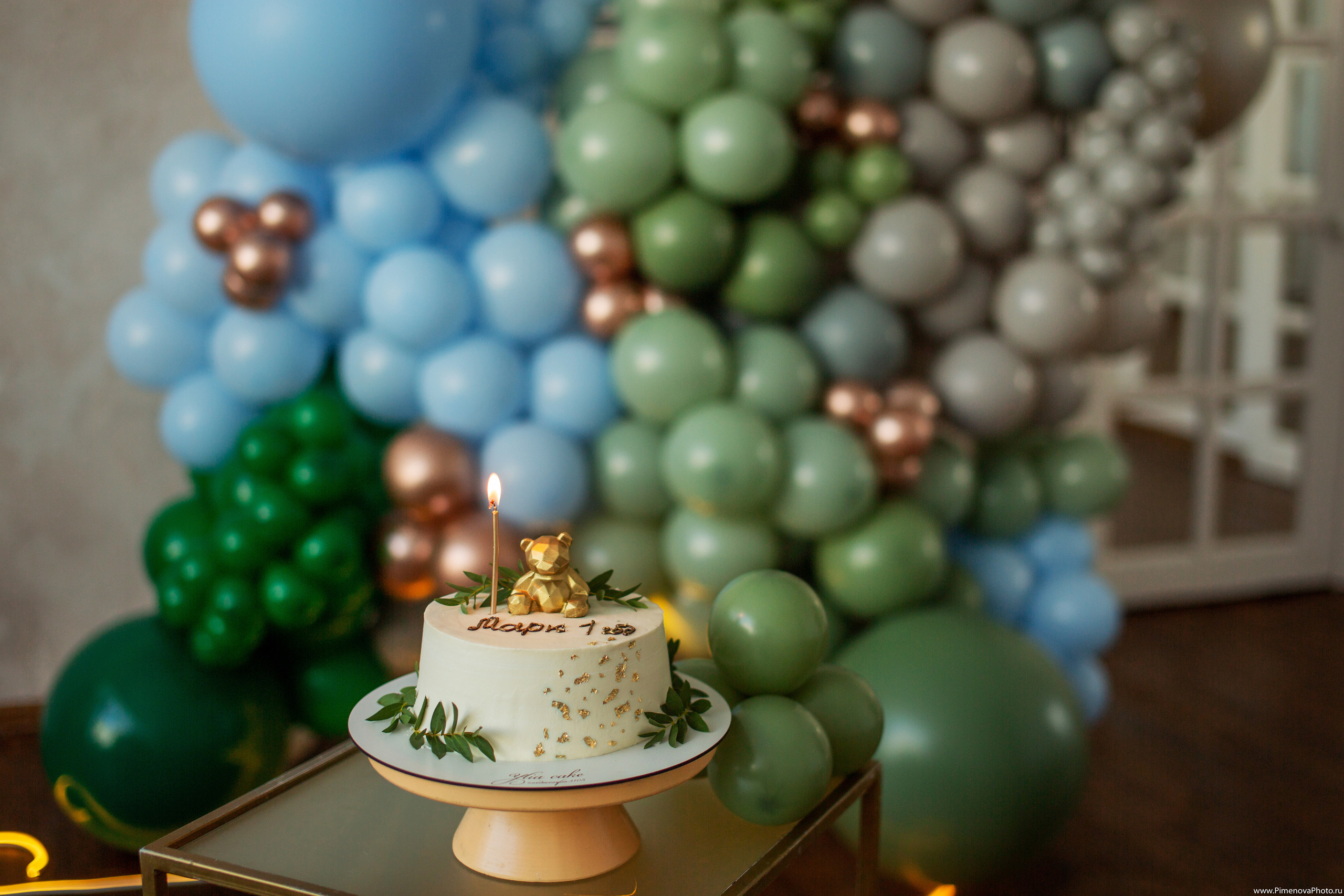 День рождения Маркуша. Семейный и детский фотограф в Петрозаводске