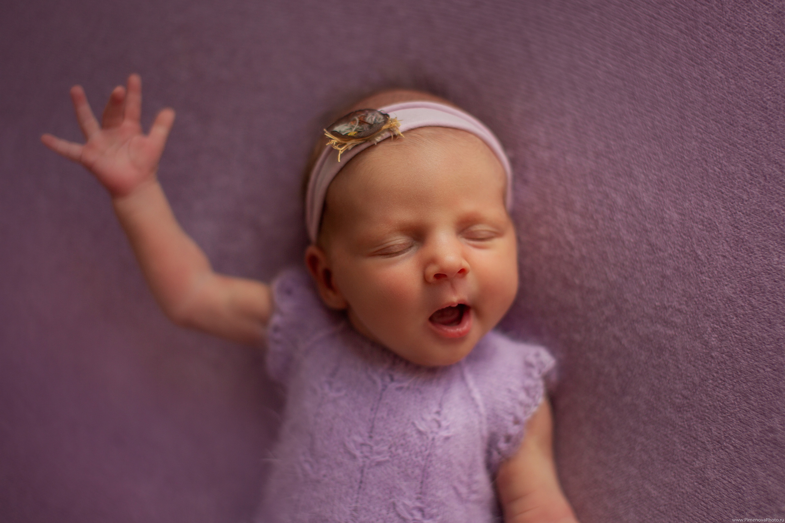 Новорождённая Анечка. Семейный и детский фотограф в Петрозаводске