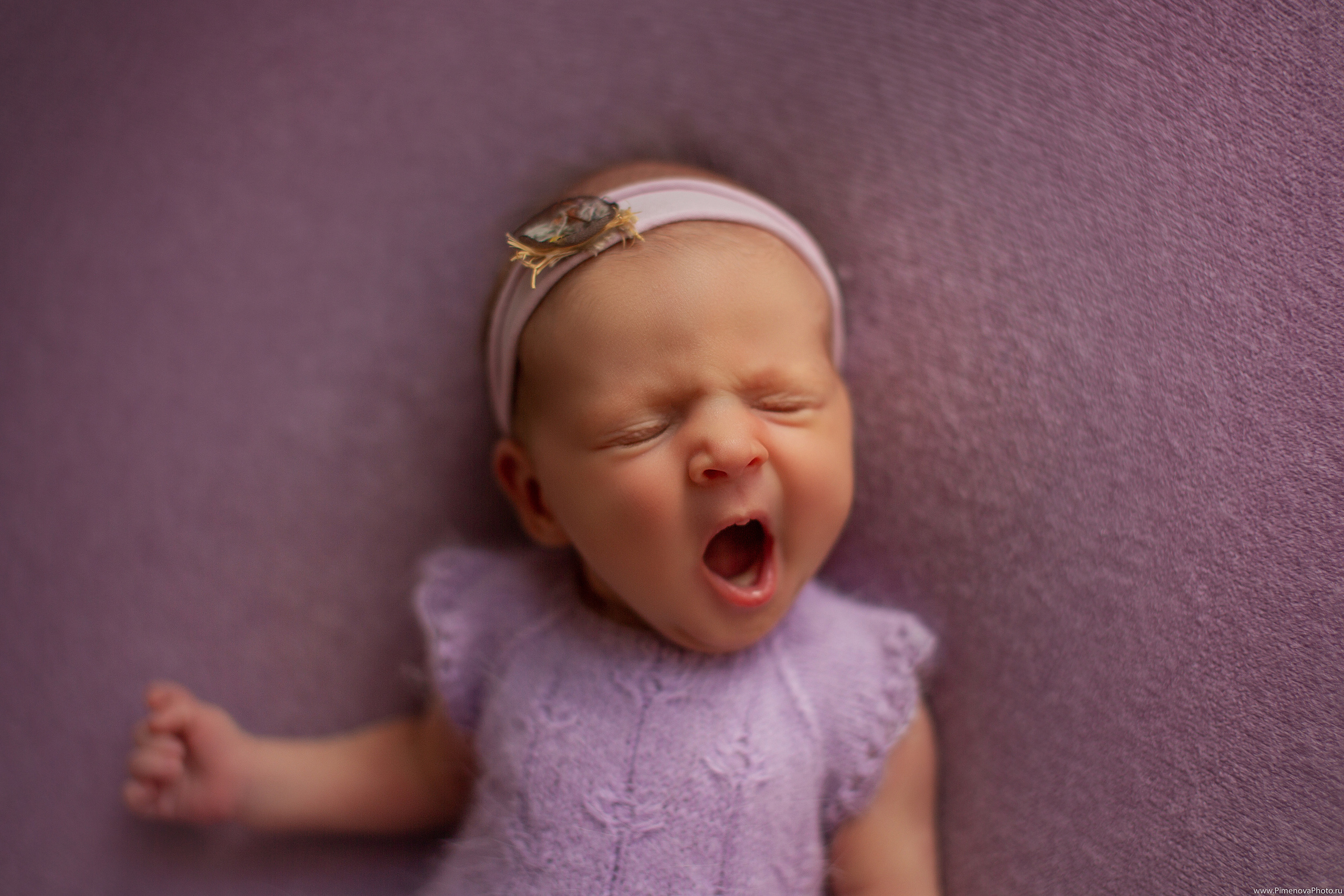Новорождённая Анечка. Семейный и детский фотограф в Петрозаводске