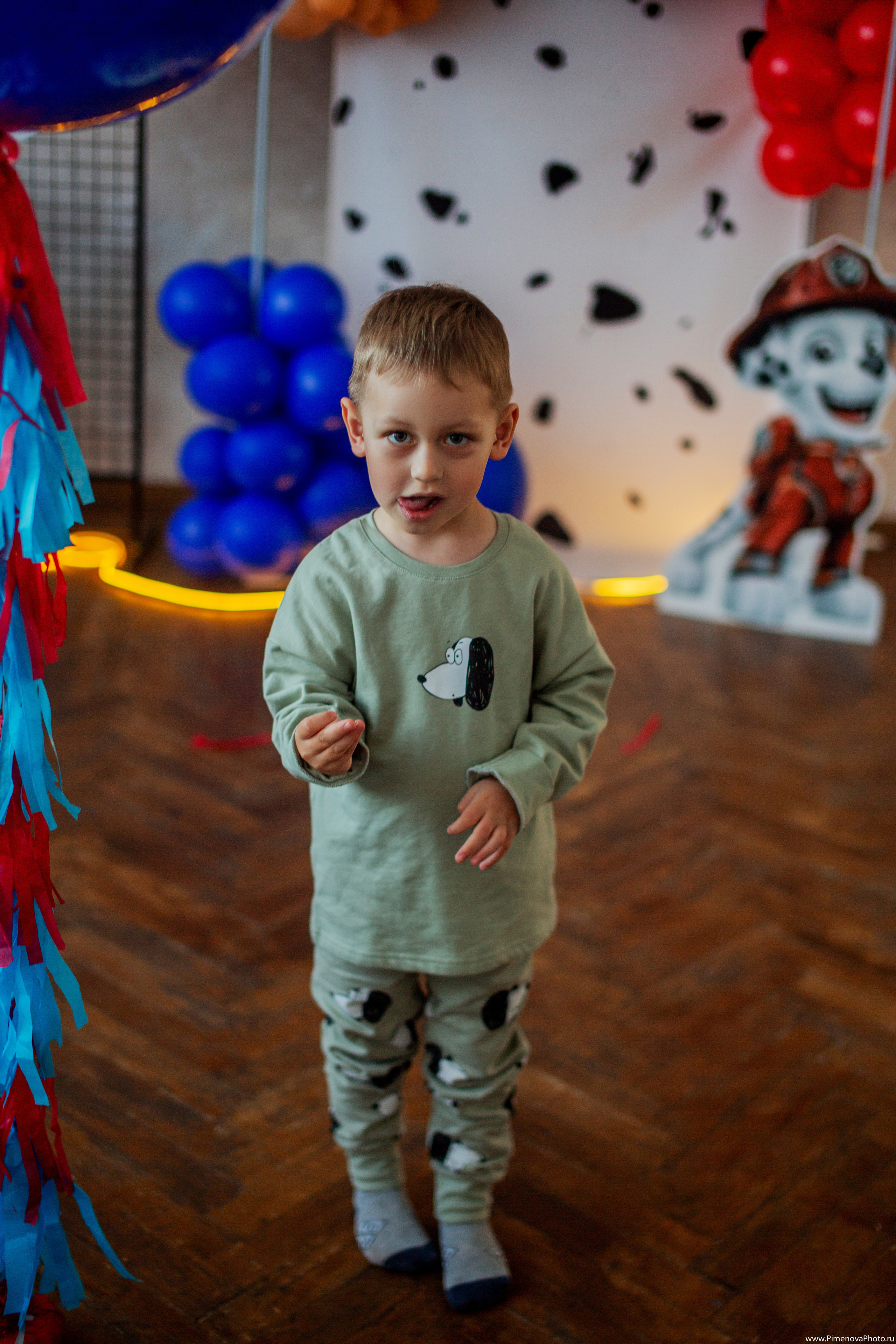 День Рождения Артёма, 4 года. Семейный и детский фотограф в Петрозаводске