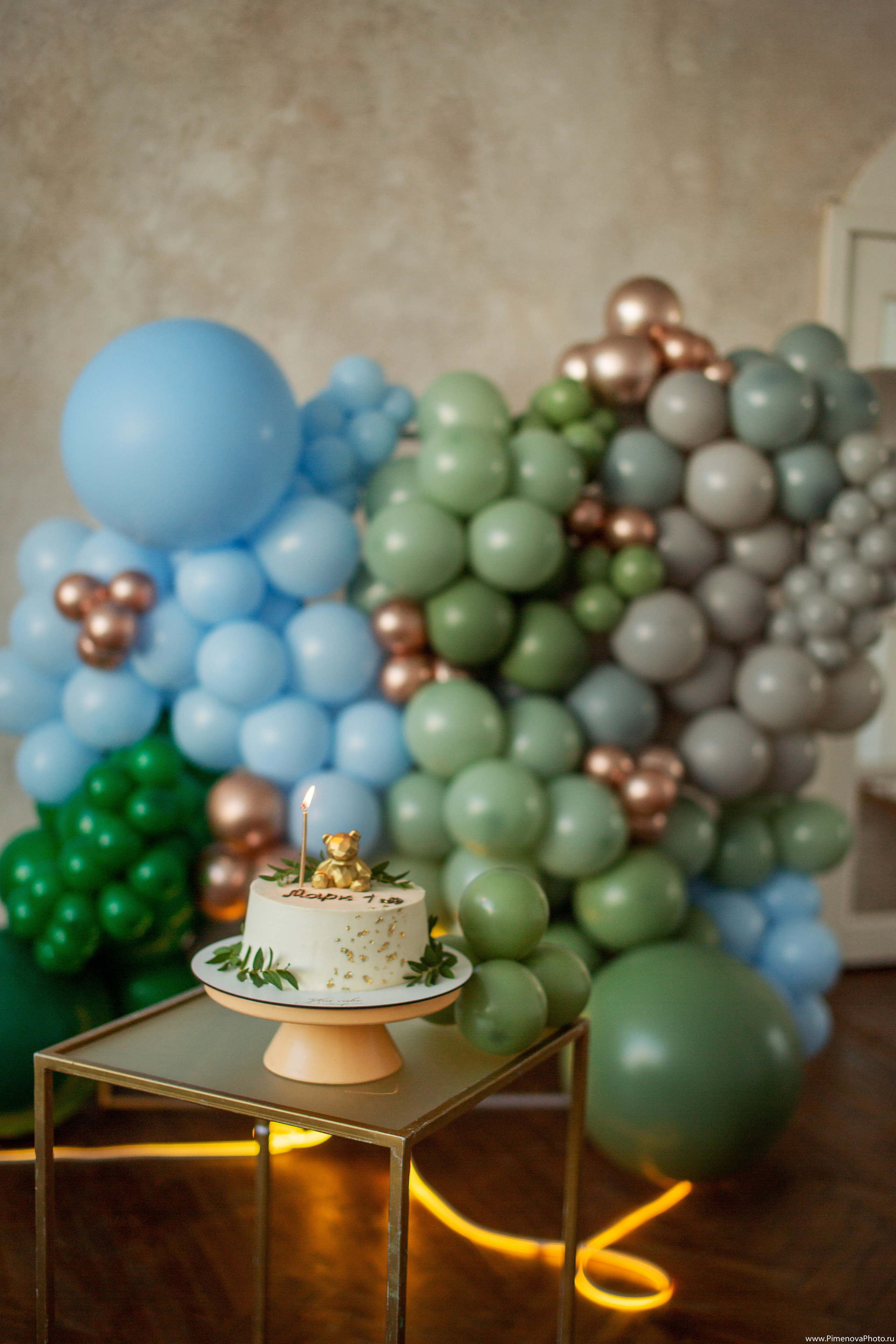 День рождения Маркуша. Семейный и детский фотограф в Петрозаводске