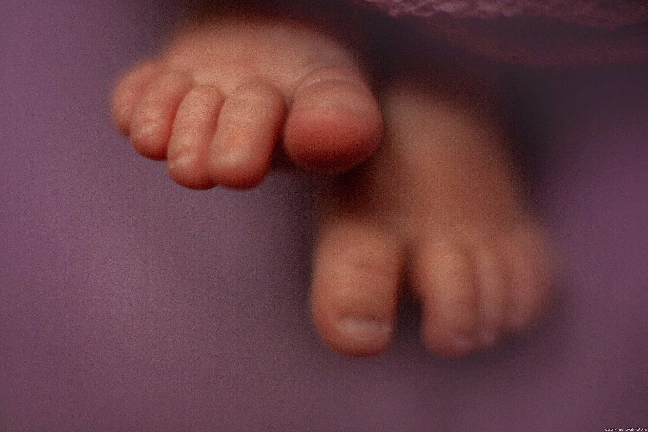 Новорождённая Анечка. Семейный и детский фотограф в Петрозаводске