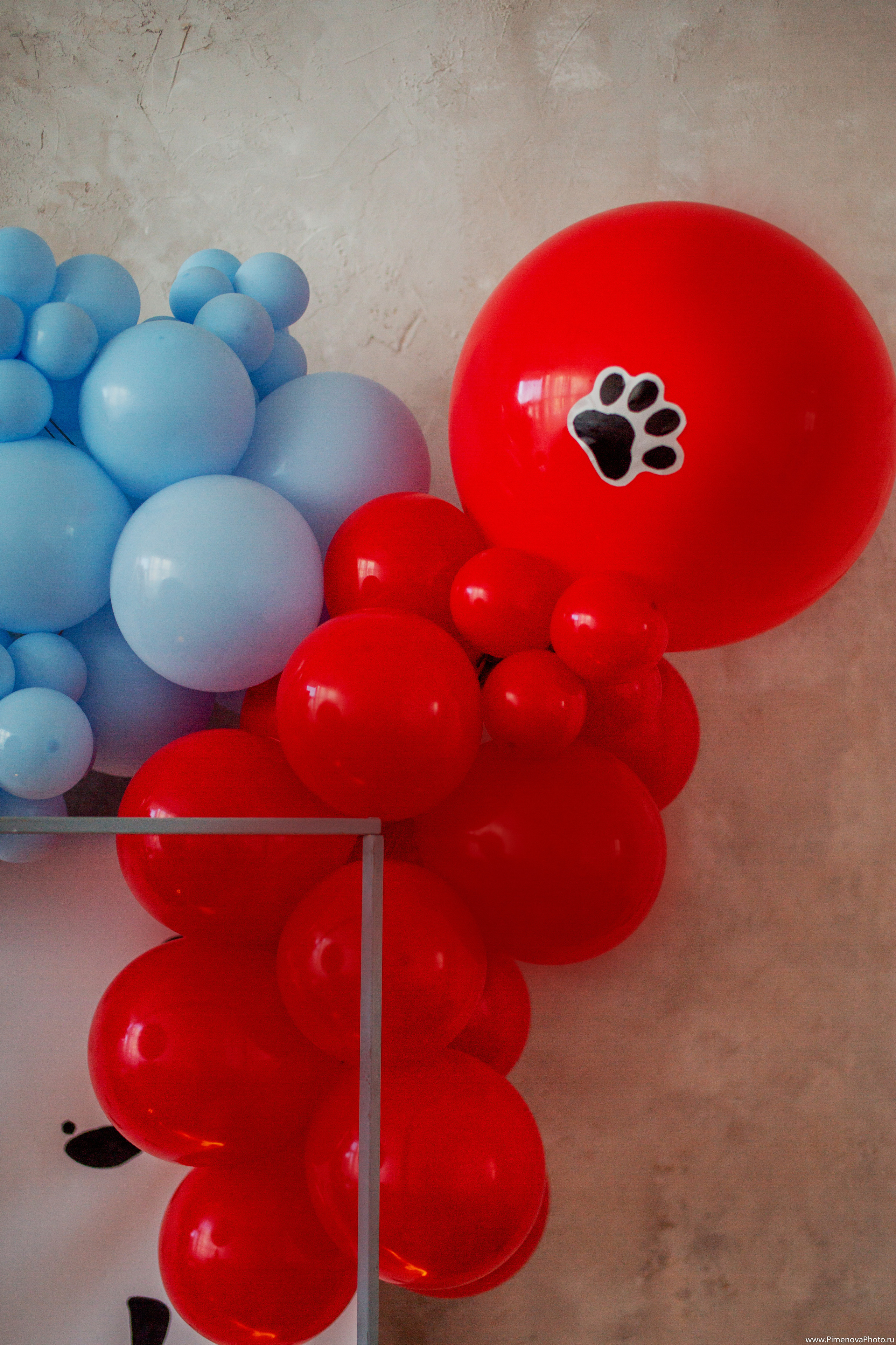 День Рождения Артёма, 4 года. Семейный и детский фотограф в Петрозаводске