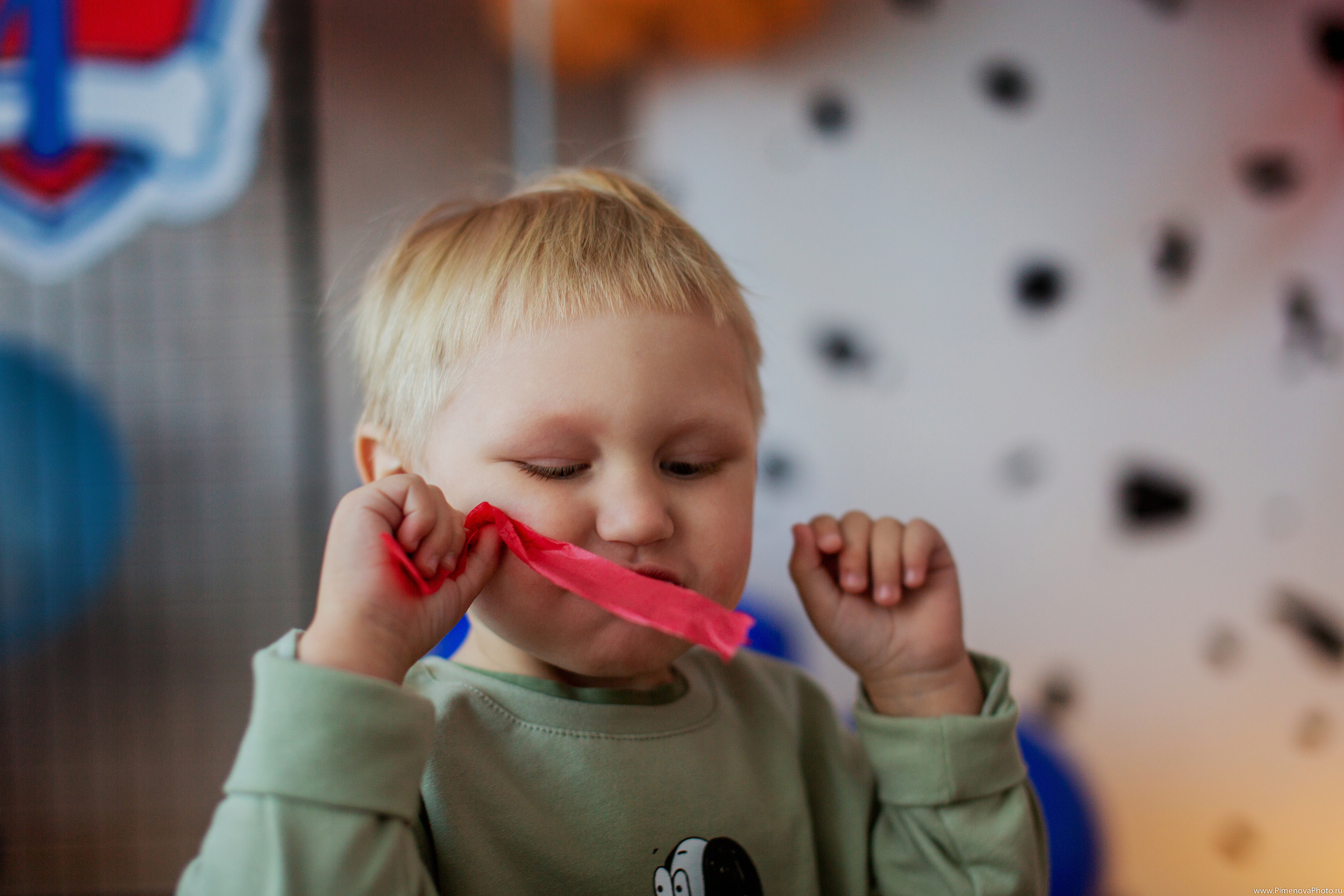 День Рождения Артёма, 4 года. Семейный и детский фотограф в Петрозаводске