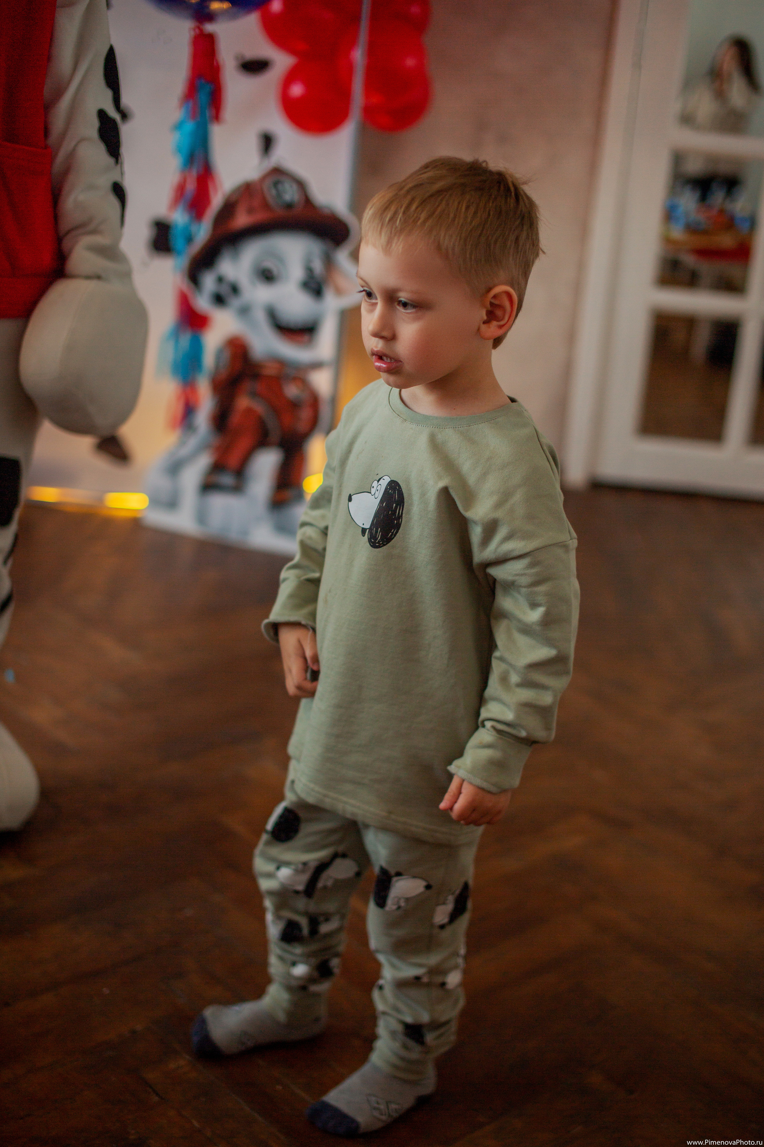 День Рождения Артёма, 4 года. Семейный и детский фотограф в Петрозаводске