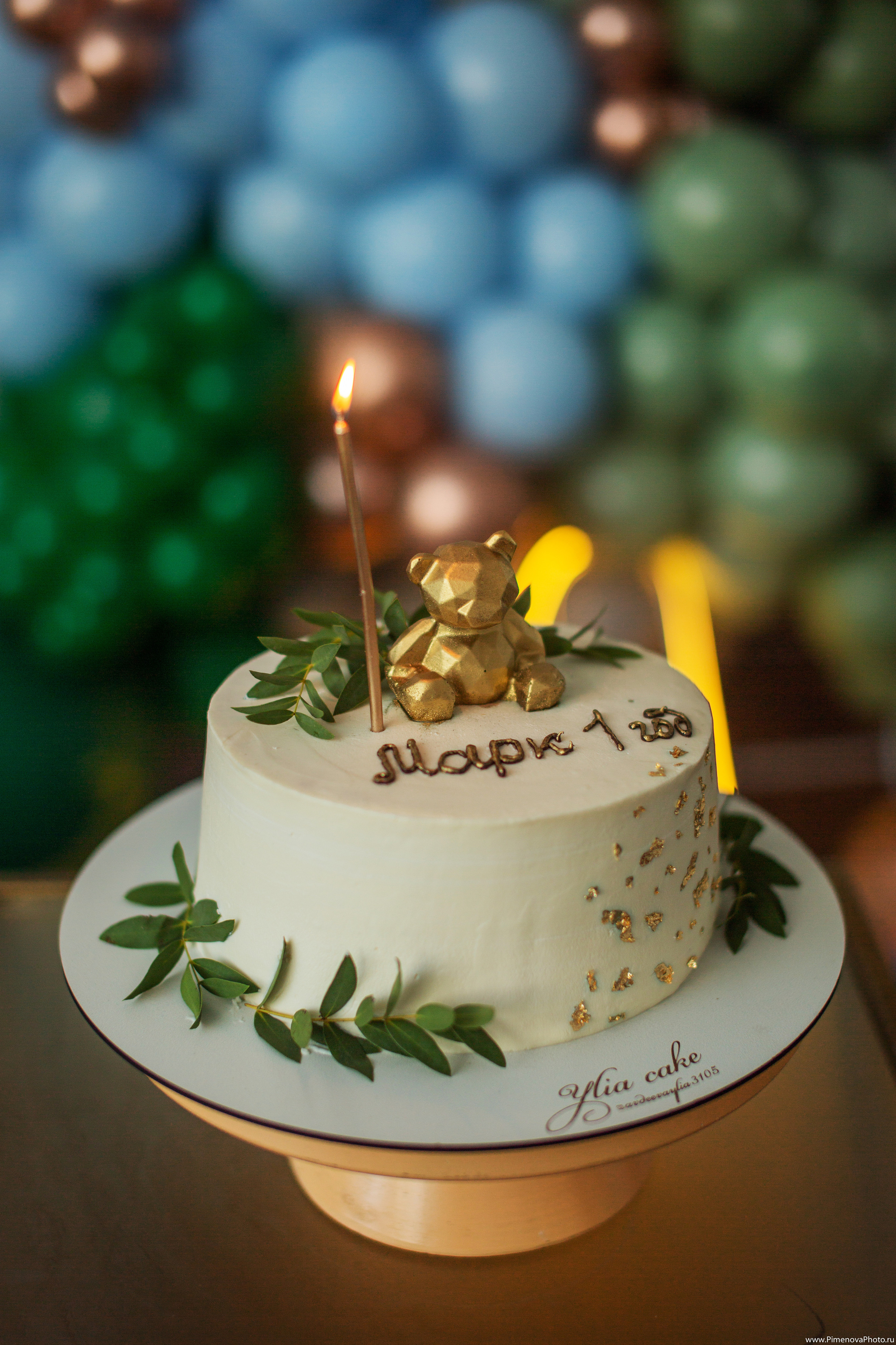 День рождения Маркуша. Семейный и детский фотограф в Петрозаводске