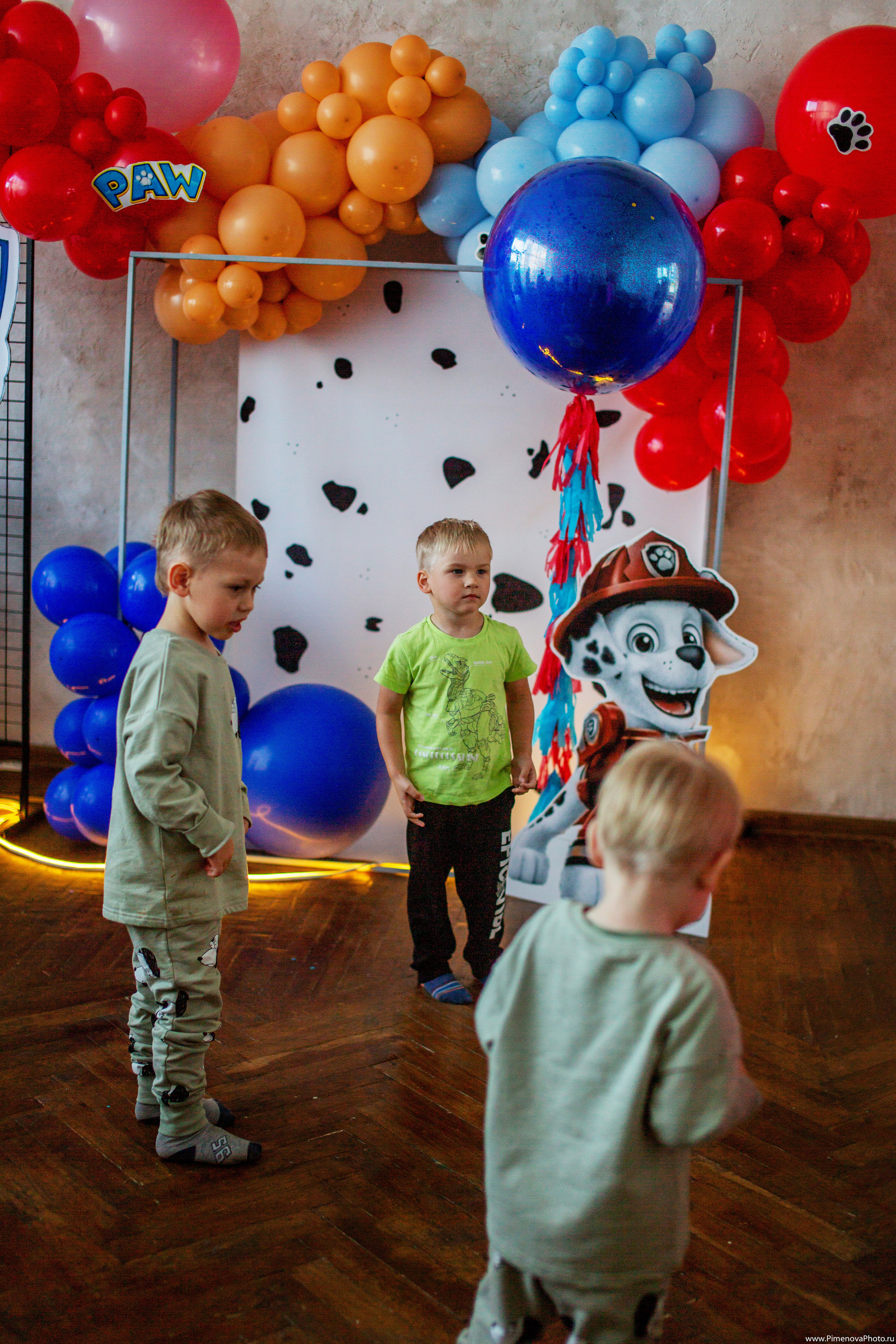 День Рождения Артёма, 4 года. Семейный и детский фотограф в Петрозаводске