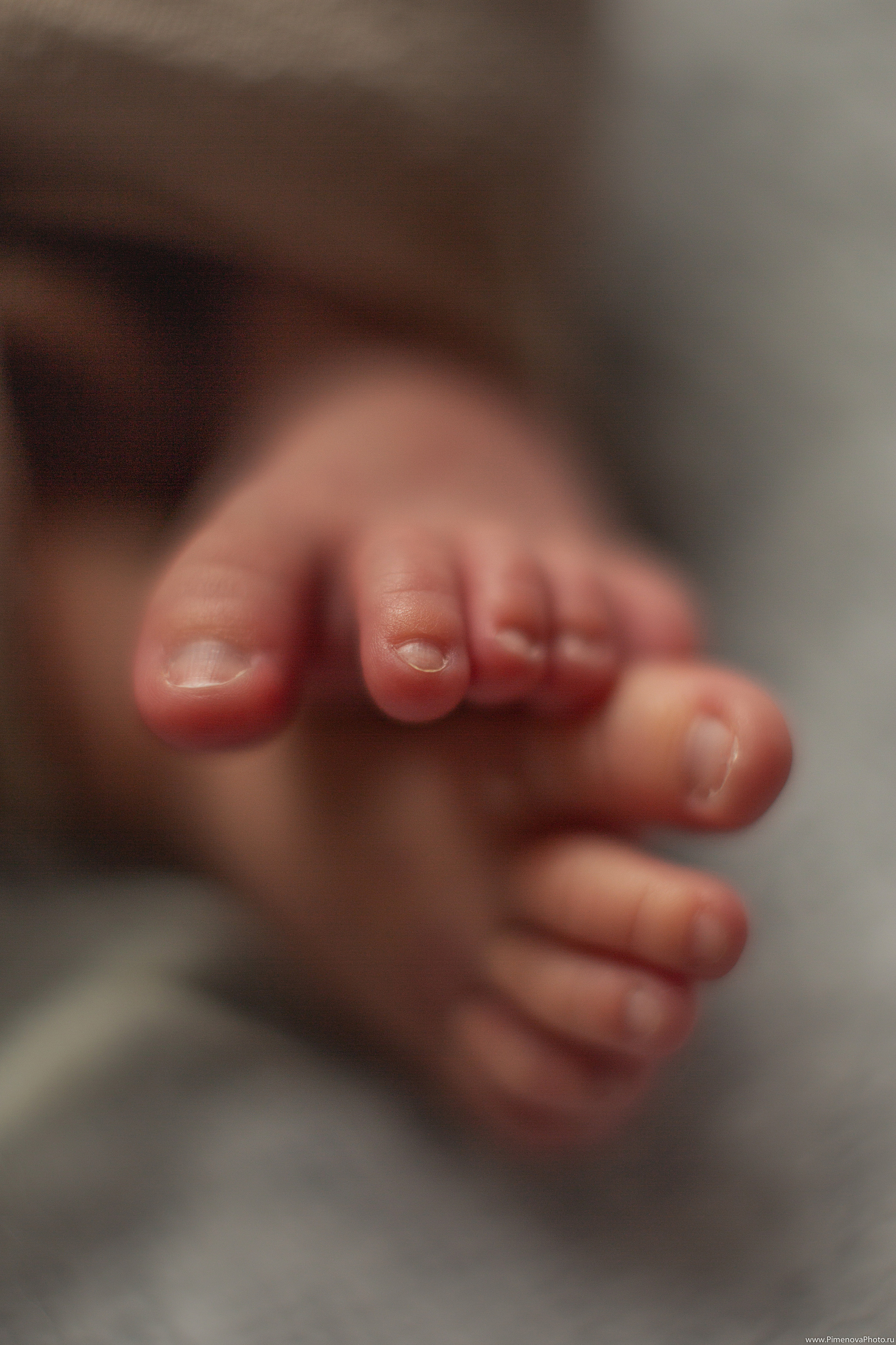 Истории. Семейный и детский фотограф в Петрозаводске