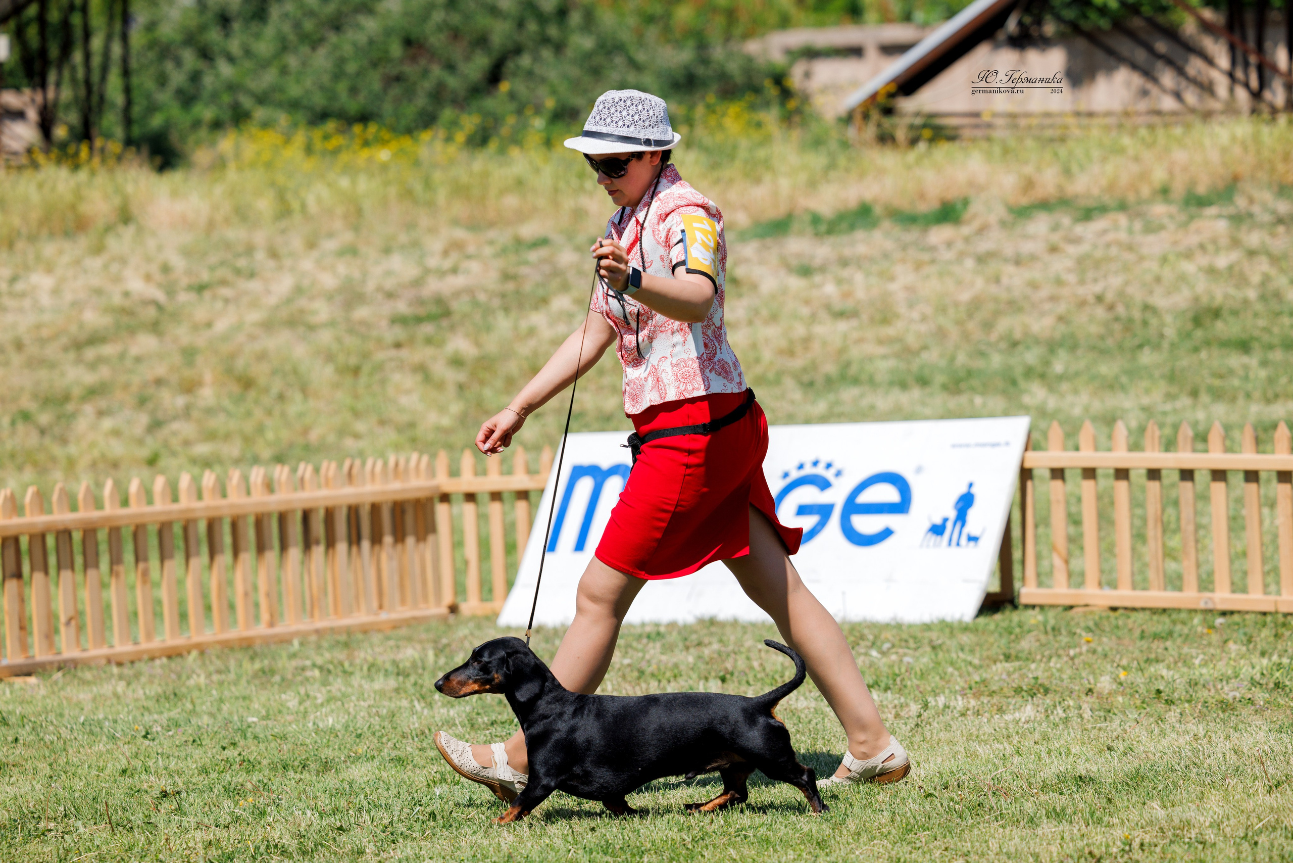 Ереван 3-5.06.2024. Фотограф-анималист Юлия Германика