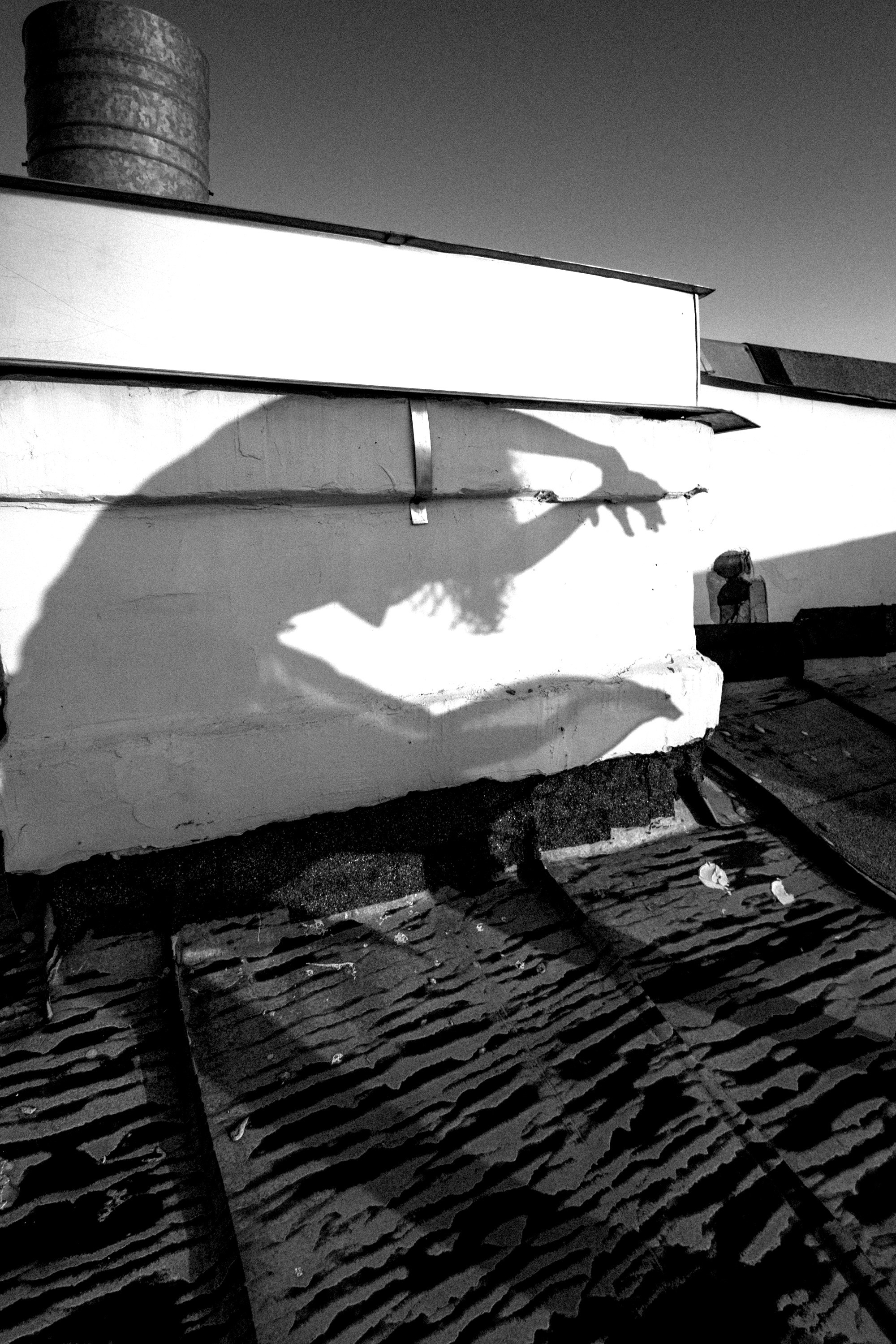 Крыша. Арт-фотограф Кристина Каширская