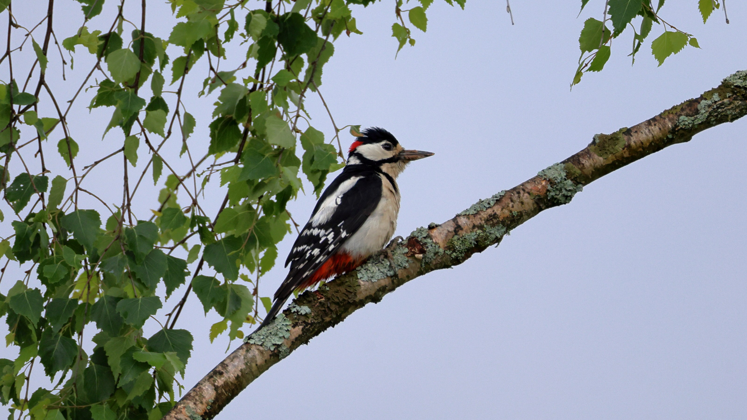 Большой уикенд. Пятница