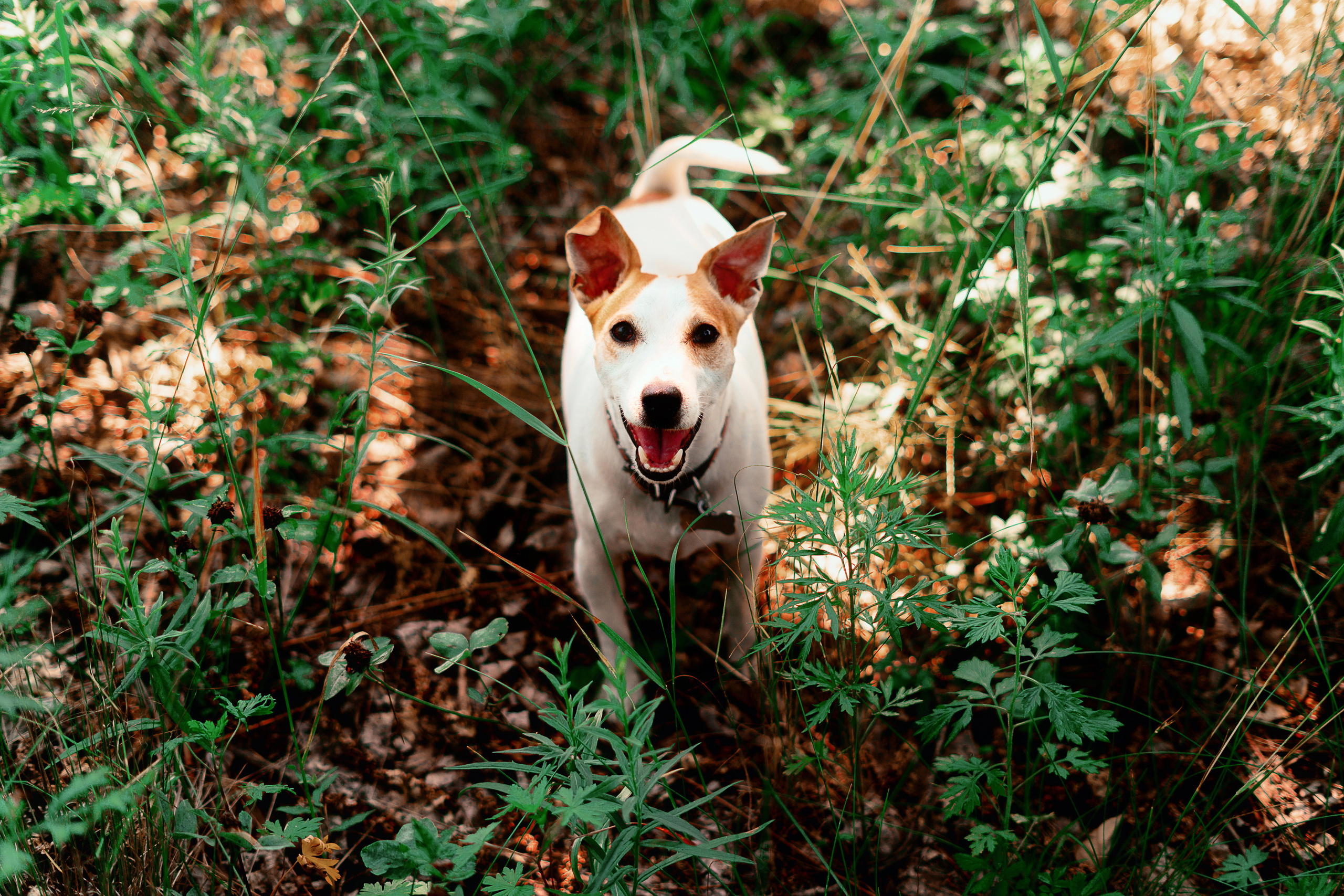 Репортаж. Фотограф в Хабаровске. Фотография за 24 часа