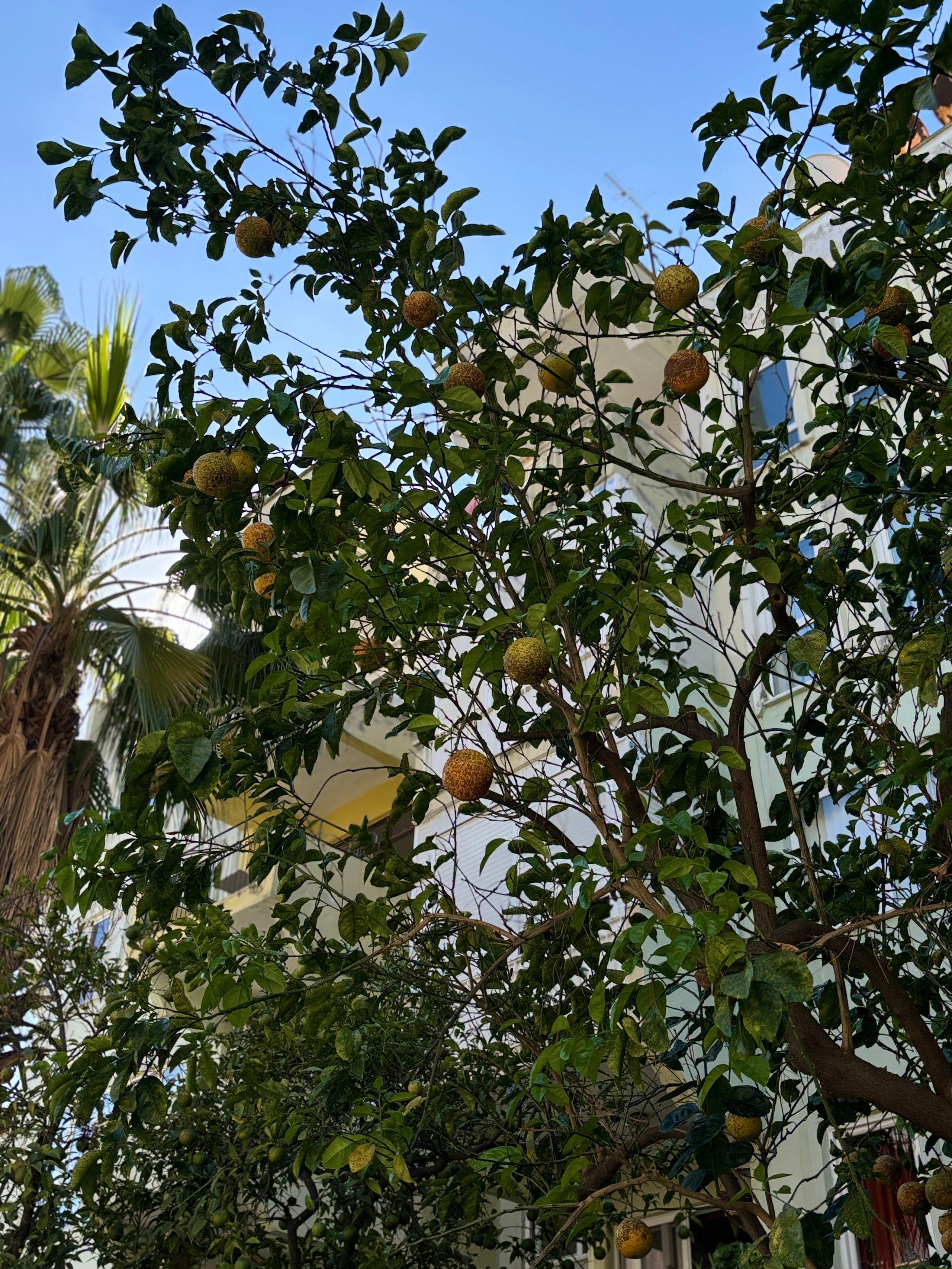 Алания, Турция. Персональный фотограф Москва