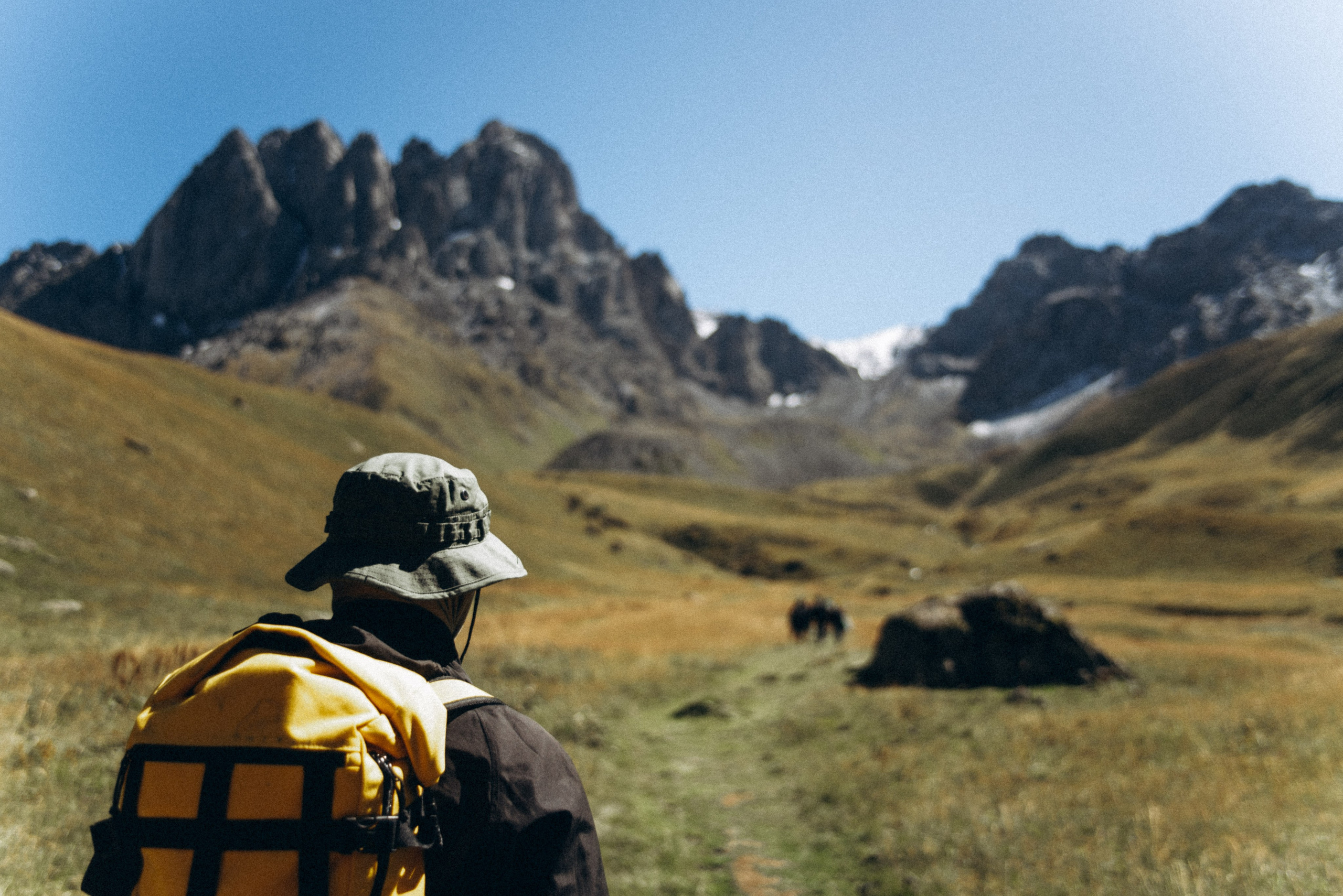 Джута, Грузия 🇬🇪 «Honey Trip». Anita_photo