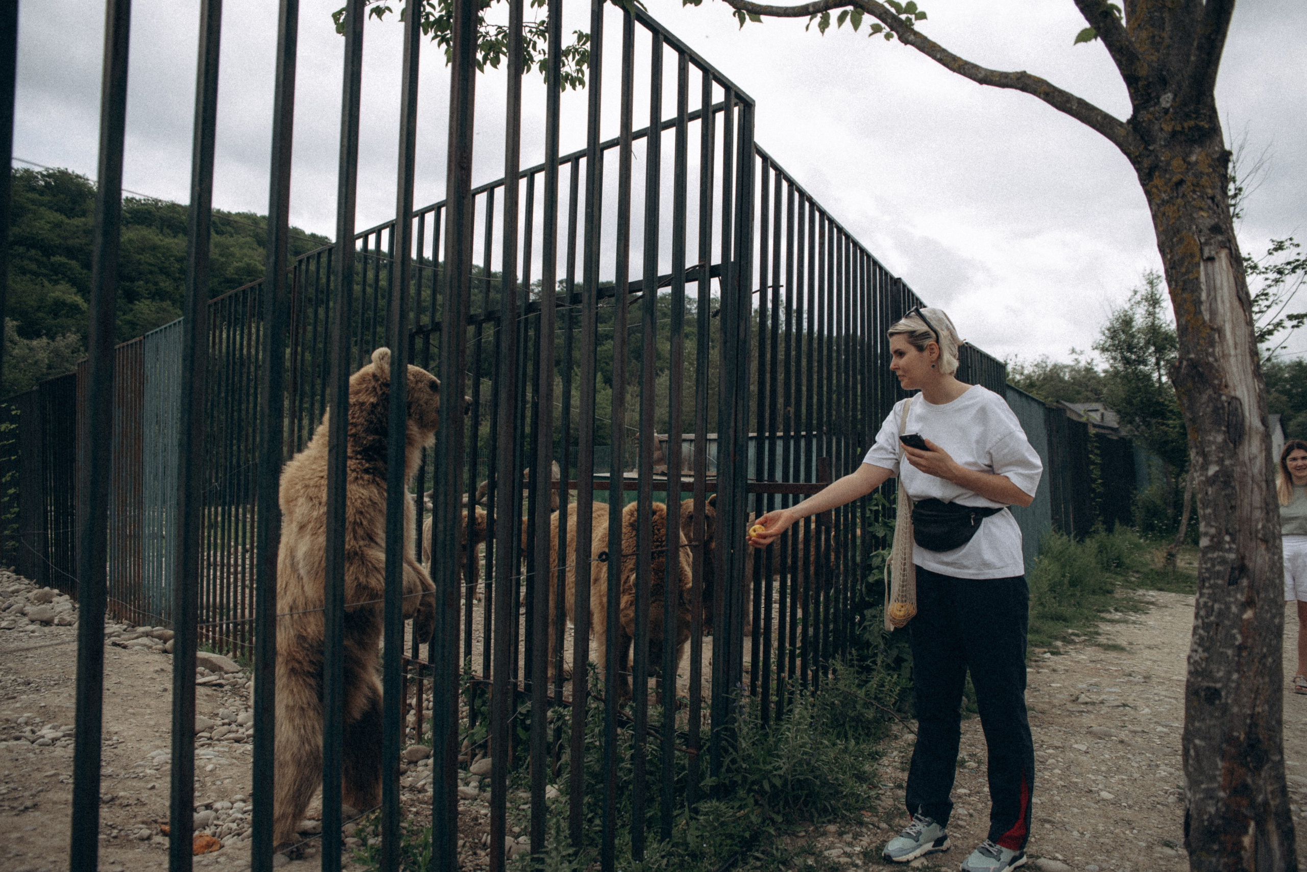 Медвежий приют, Мамкода, Грузия 🇬🇪 «Honey Trip». Anita_photo