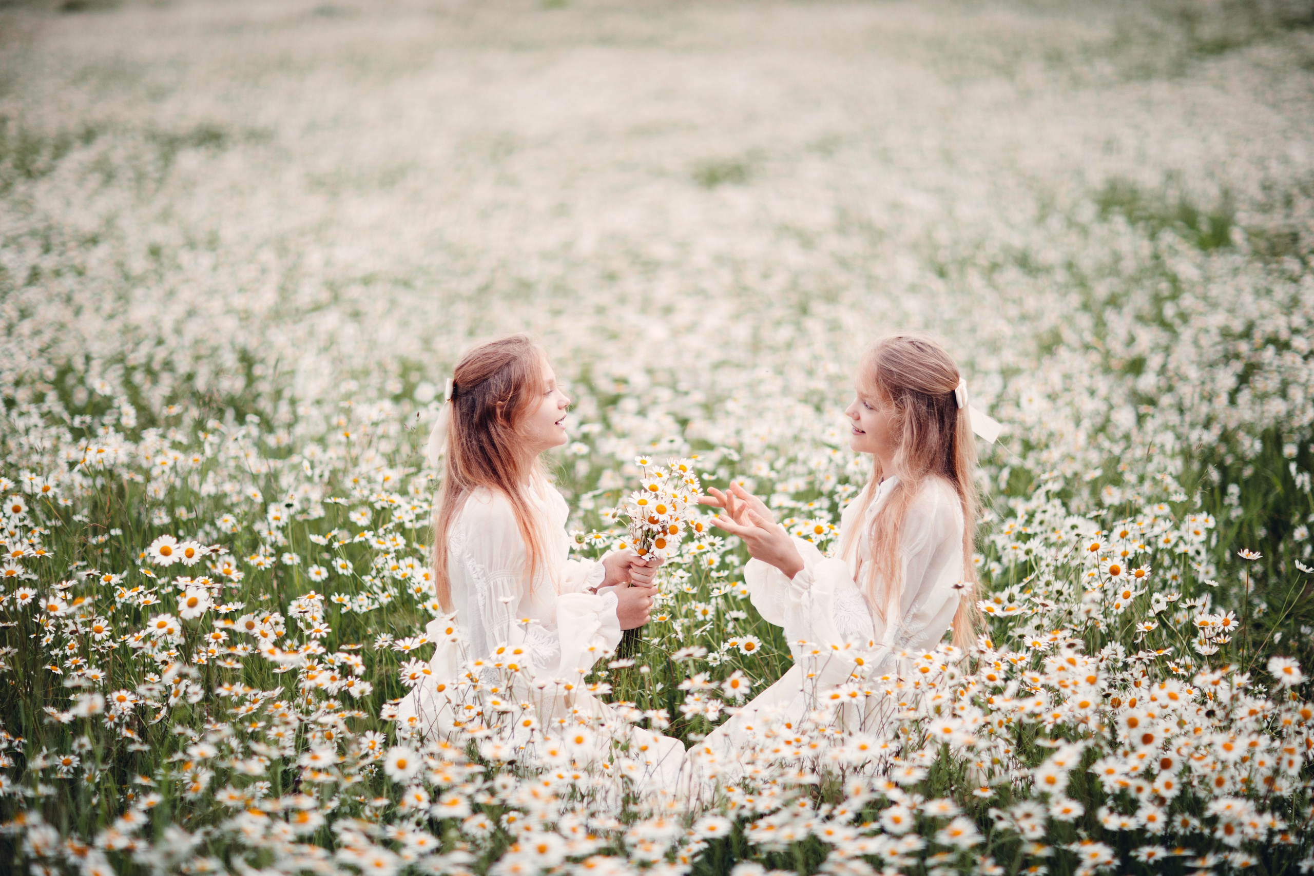 Ромашки 🤍🤍🤍. Семейный фотограф в Москве Анастасия Гурьянова