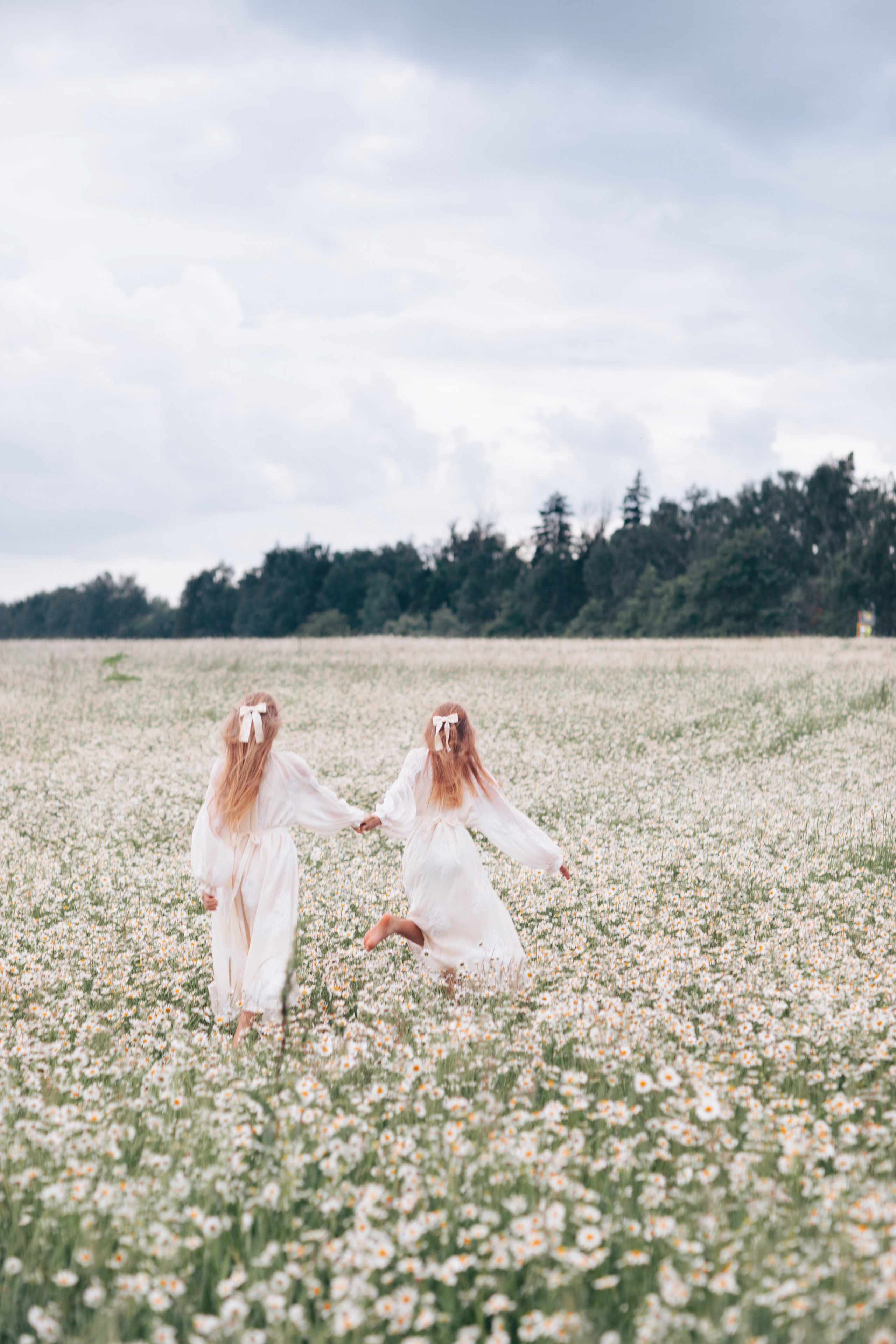 Ромашки 🤍🤍🤍. Семейный фотограф в Москве Анастасия Гурьянова