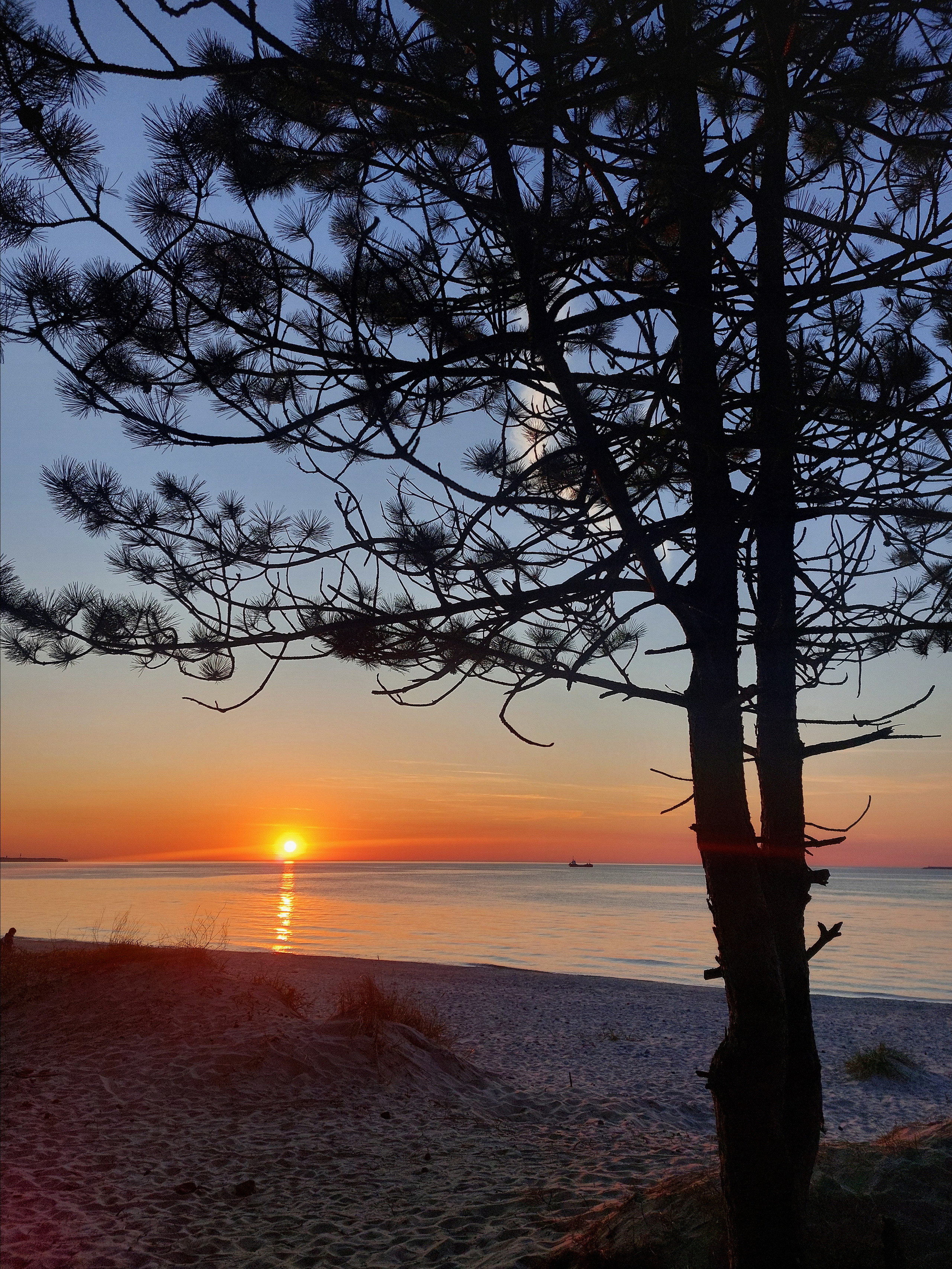 Природа края. Экскурсии по Калининграду