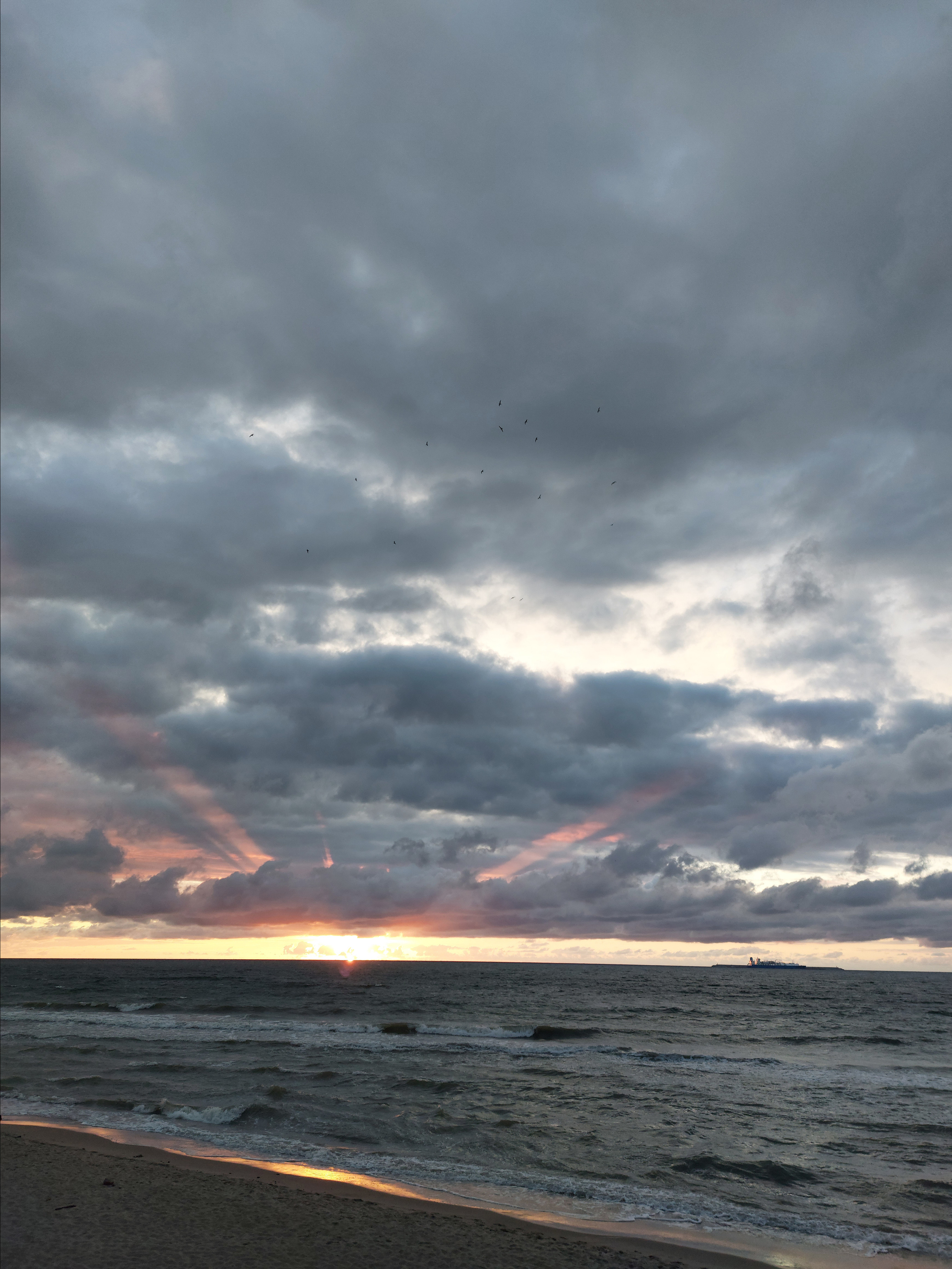 Природа края. Экскурсии по Калининграду