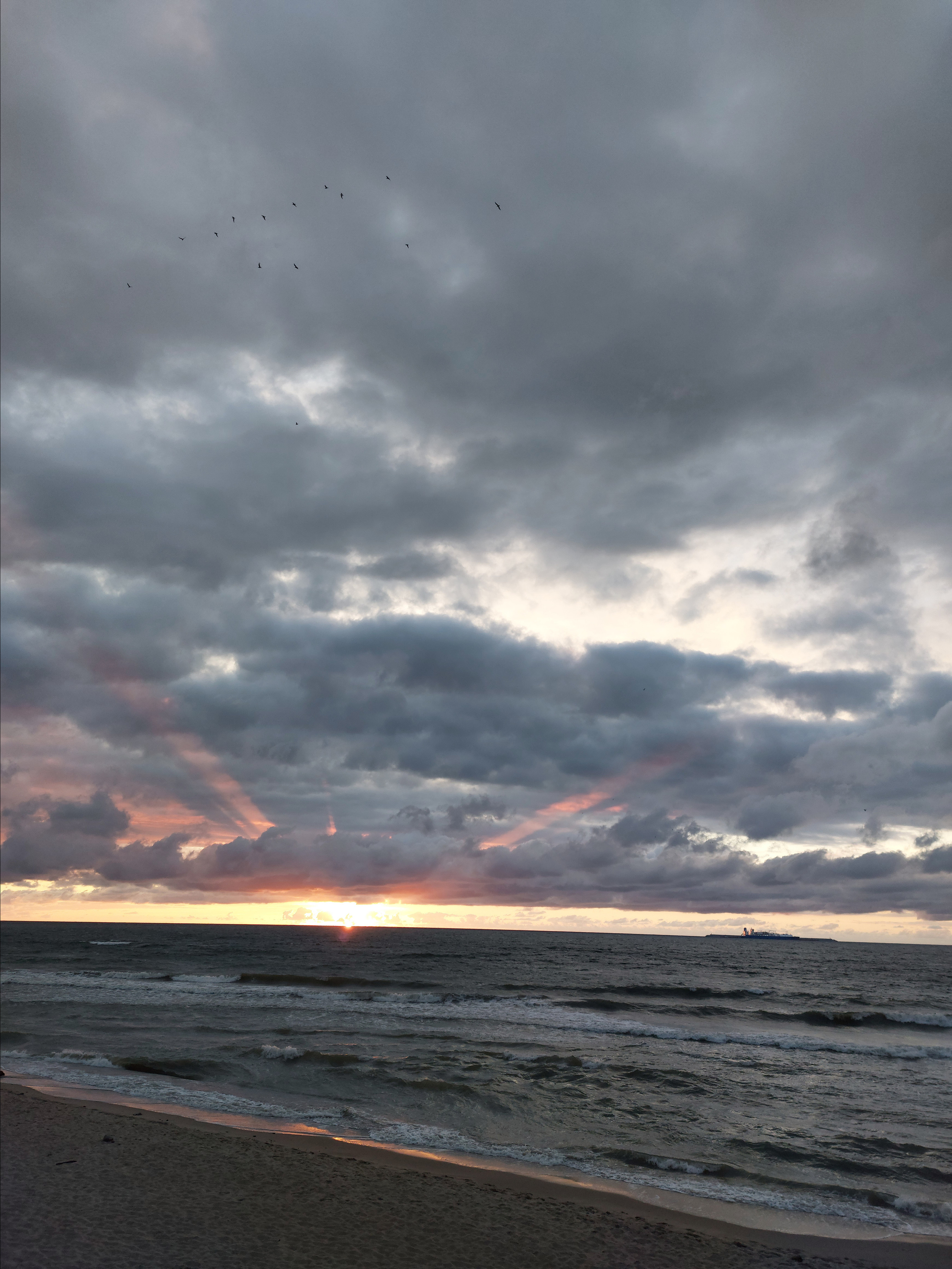 Природа края. Экскурсии по Калининграду